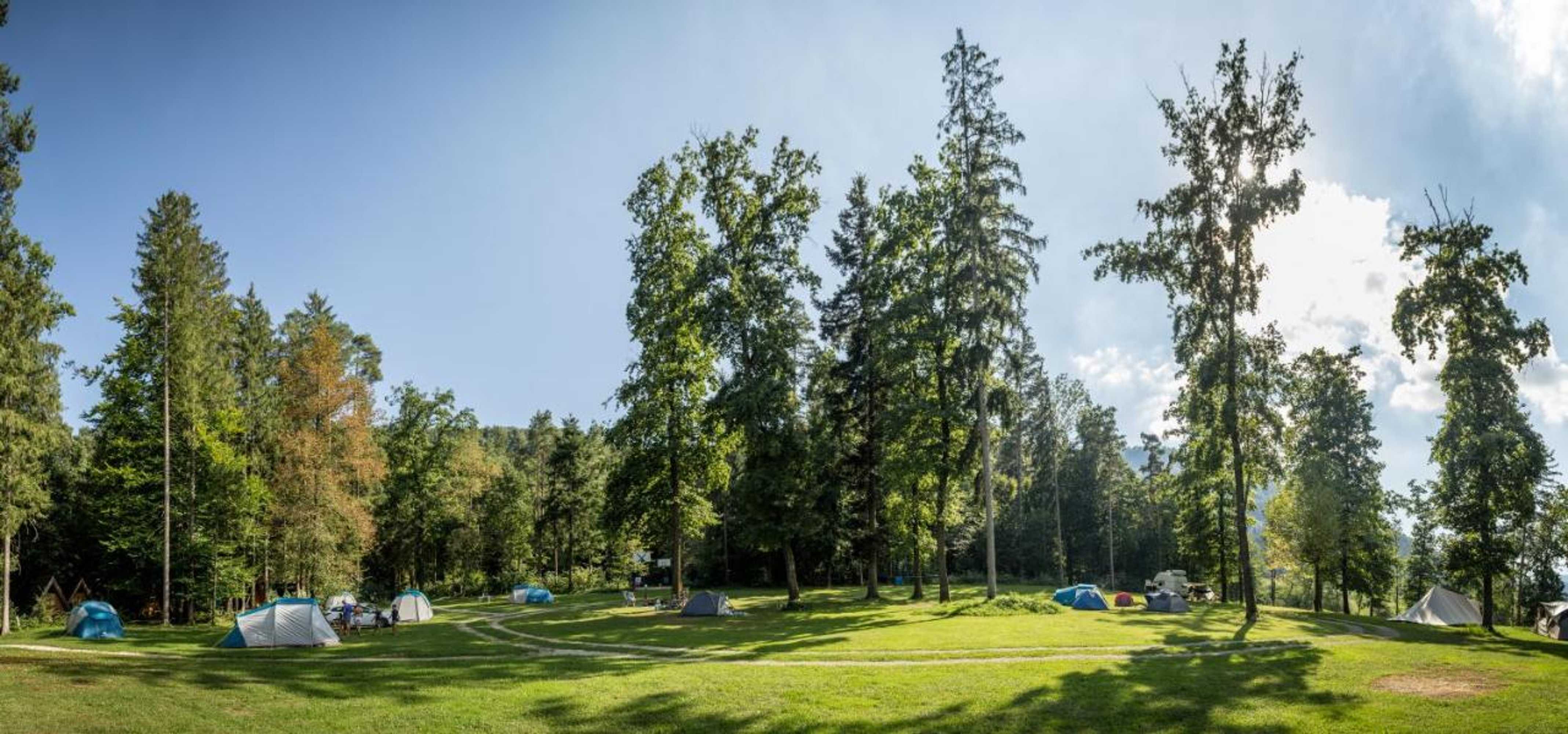 Gift card for Forest Camping Mozirje