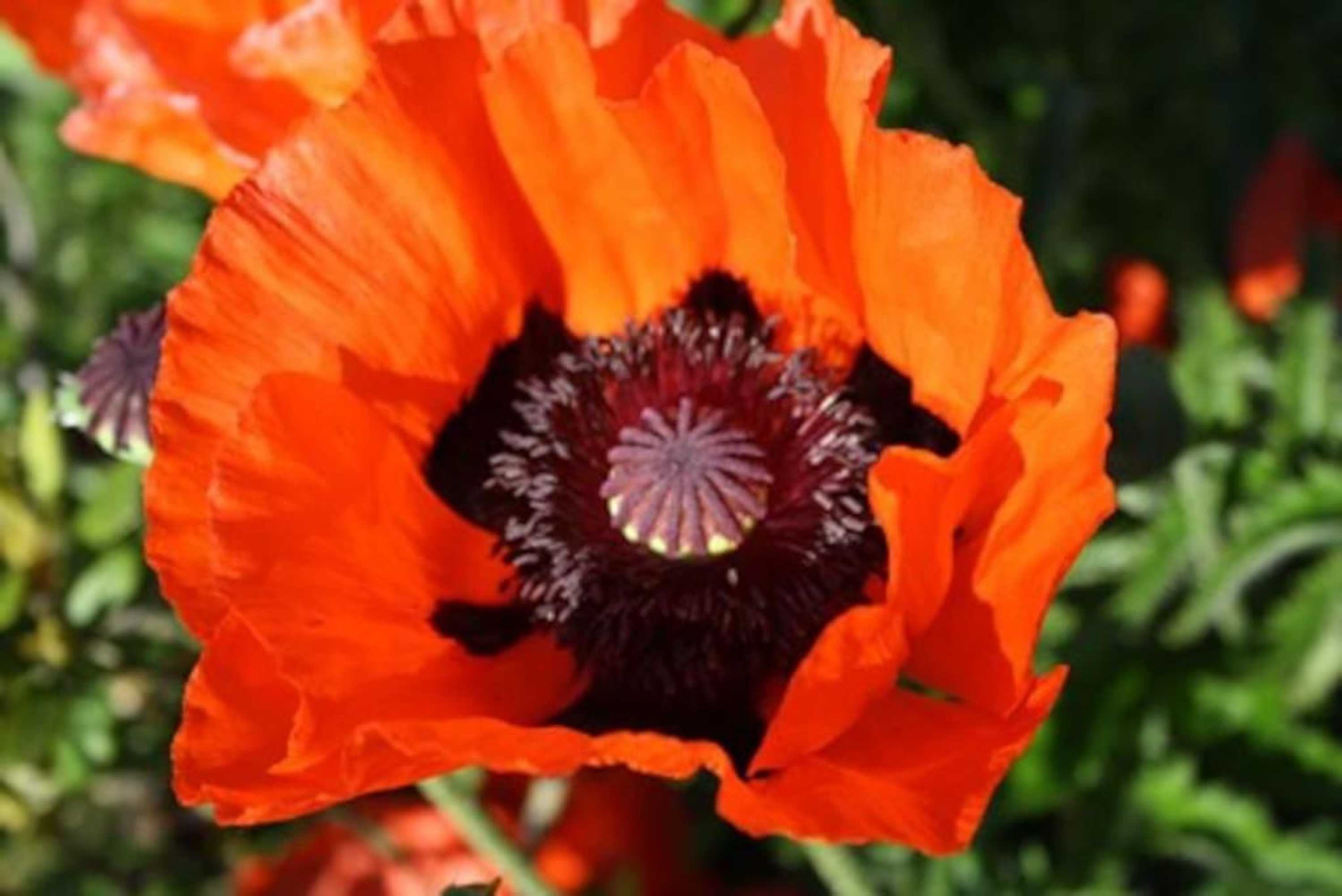 Gift card for Studio Polderpoort