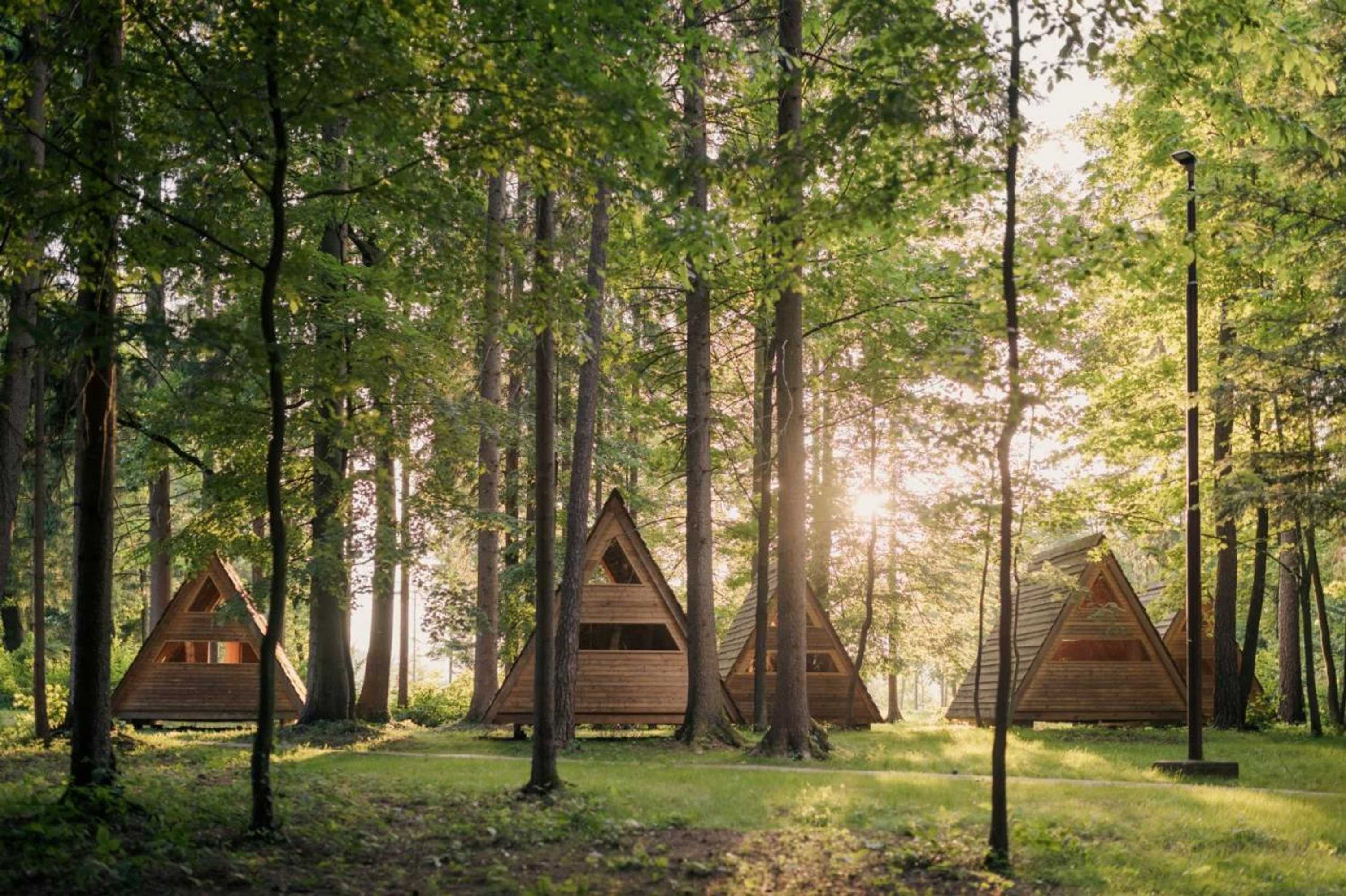 Gift card for Forest Camping Mozirje