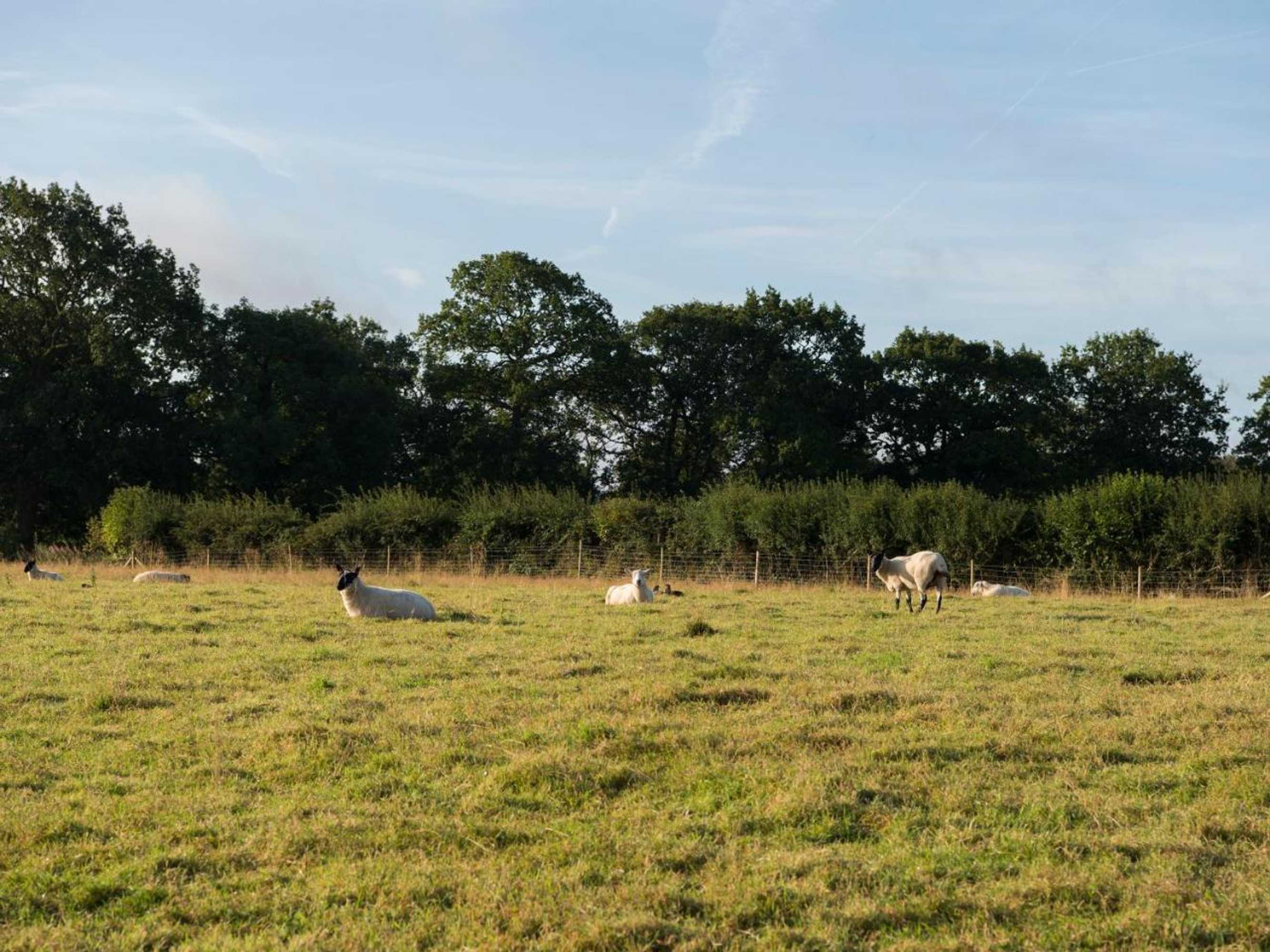 Gift card for Barnfields Holiday Cottage