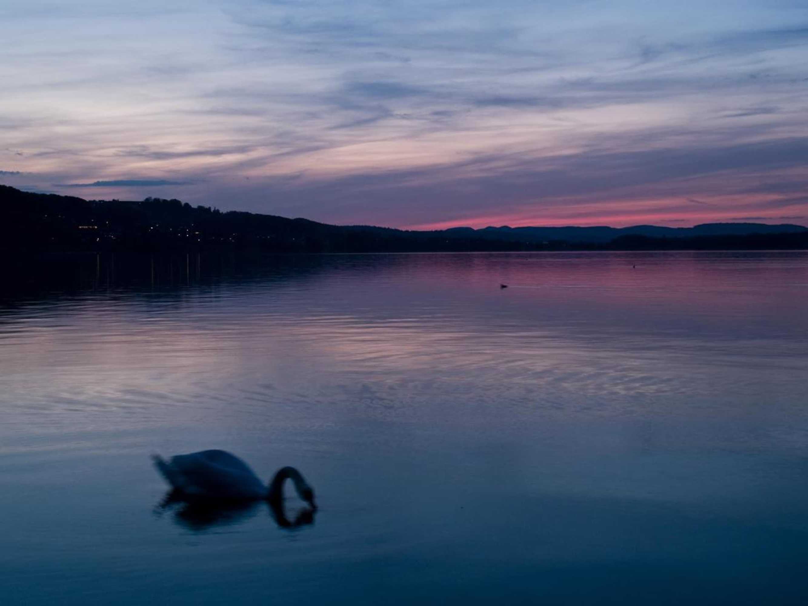 Gift card for Seehotel Delphin