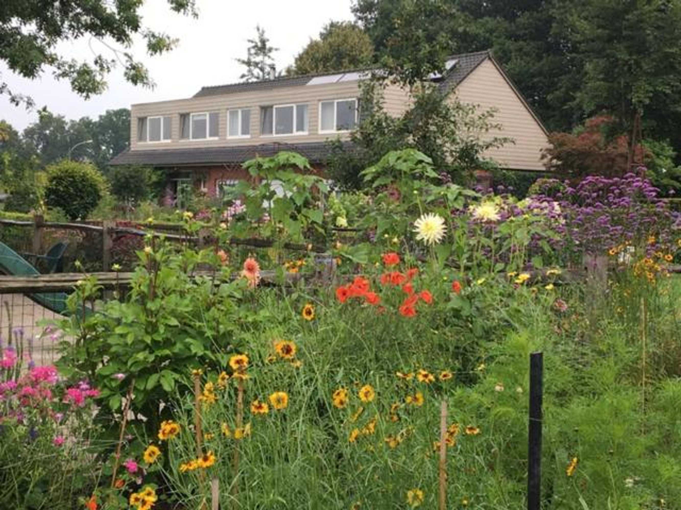 Gift card for B&b Tuin Der Zinnen