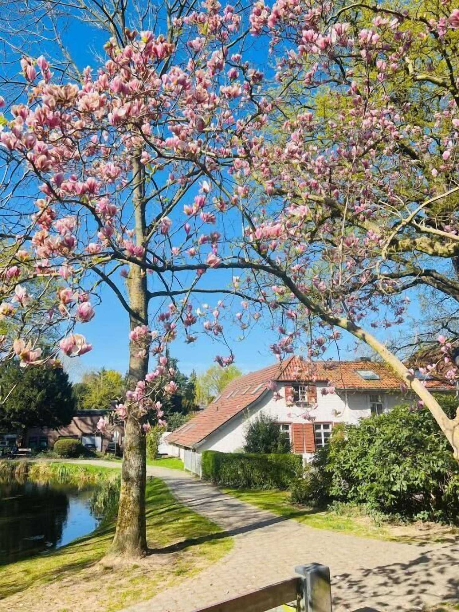 Gift card for Kaisermühle Historischer Gasthof