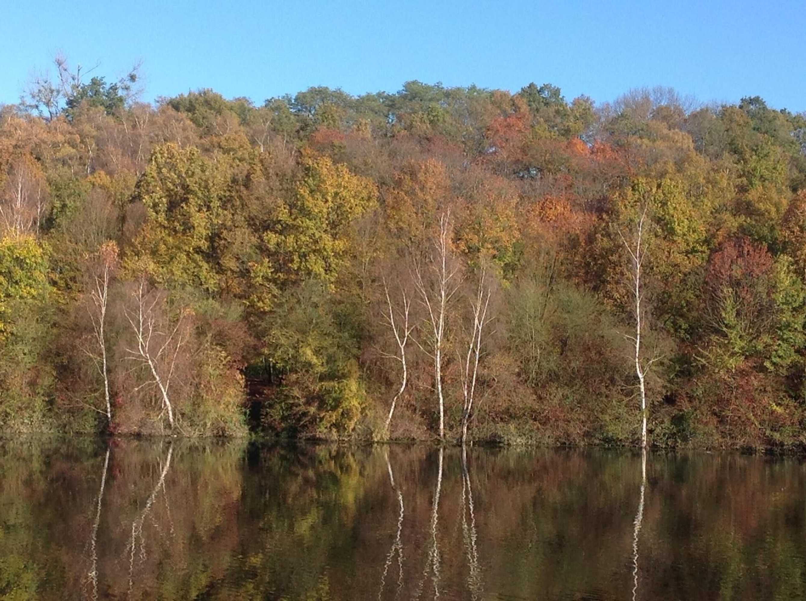 Gift card for Eurode Live