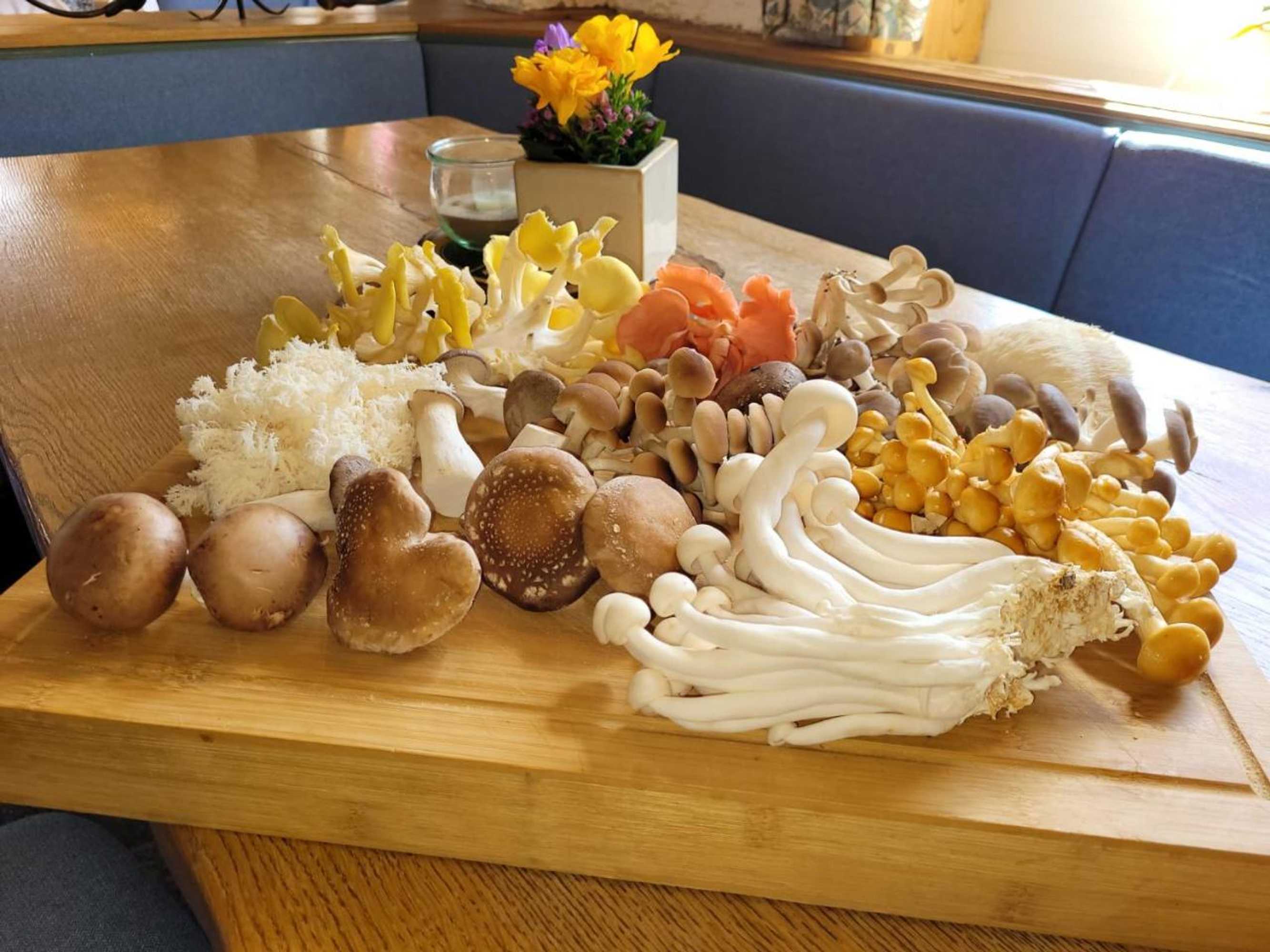 Gift card for Hotel & Restaurant Wittekindsquelle