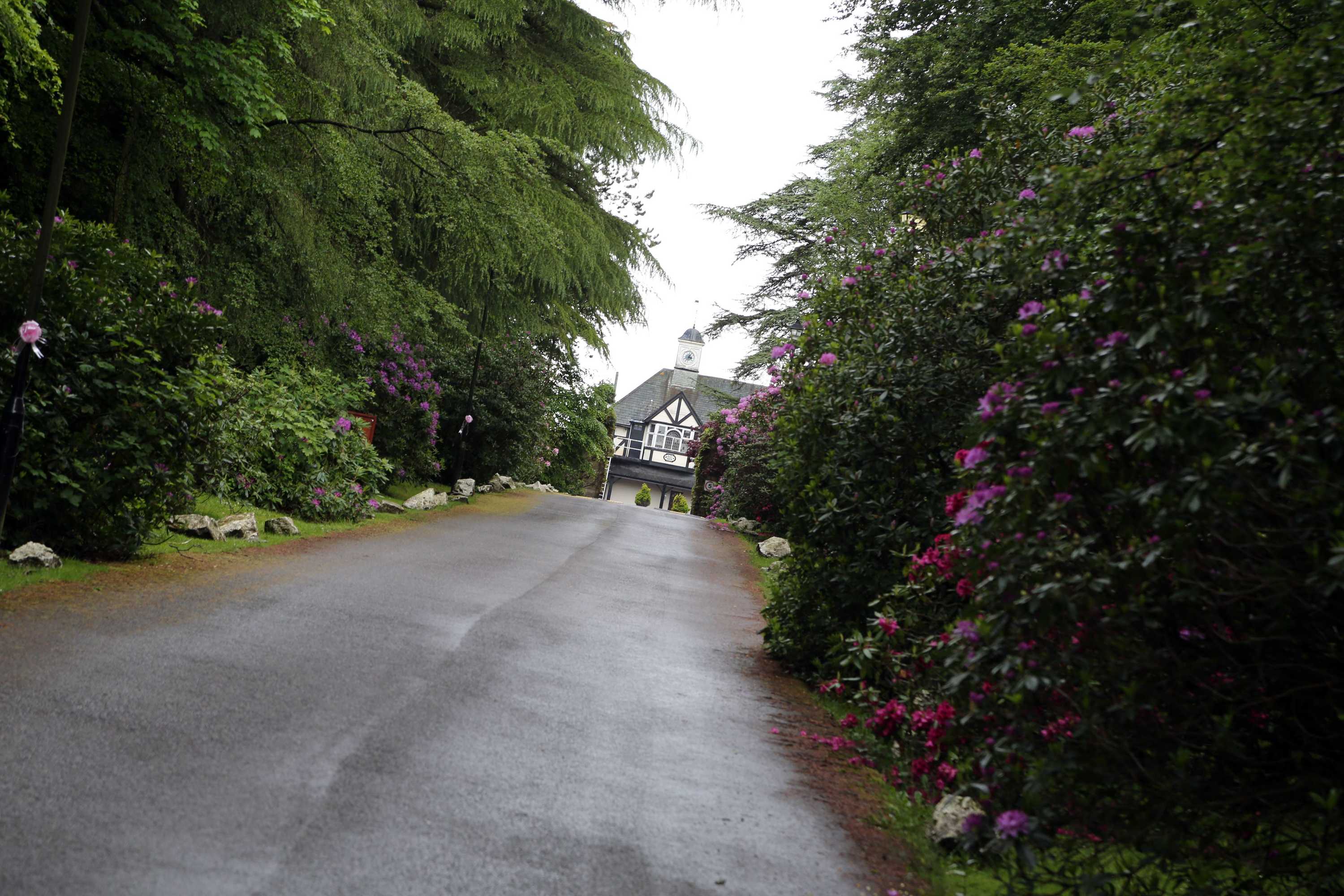 Gift card for Maes Manor Hotel Gift card for Maes Manor Hotel