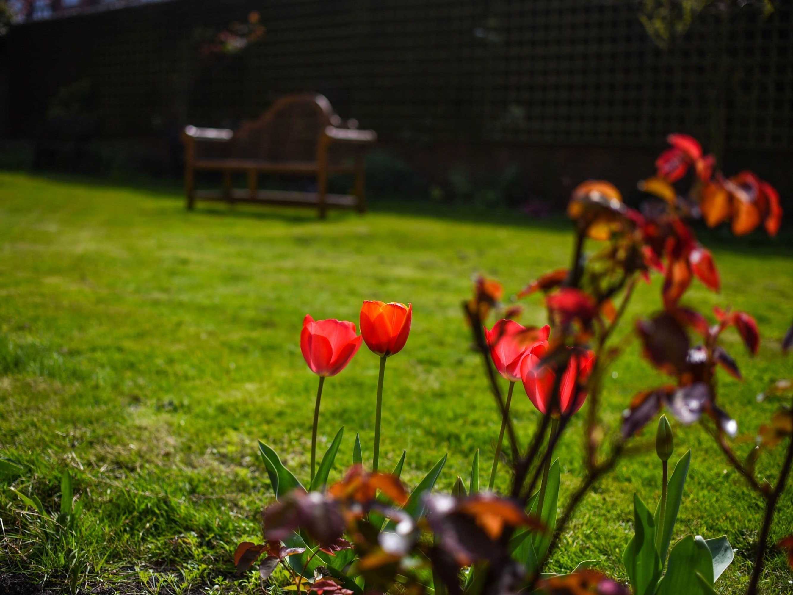 Gift card for Castle House Hotel