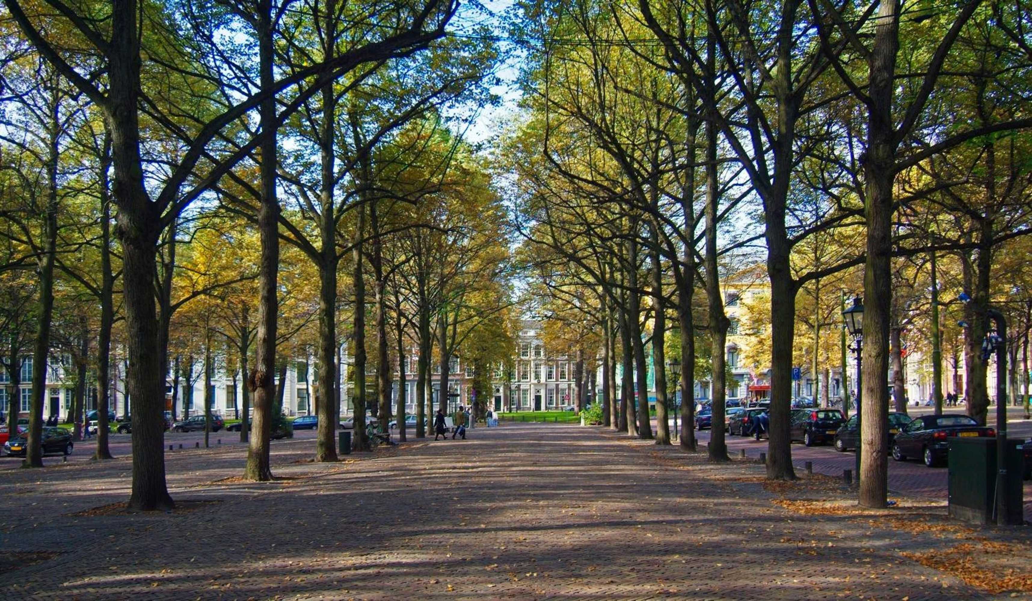 Gift card for Hotel Des Indes Gift card for Hotel Des Indes