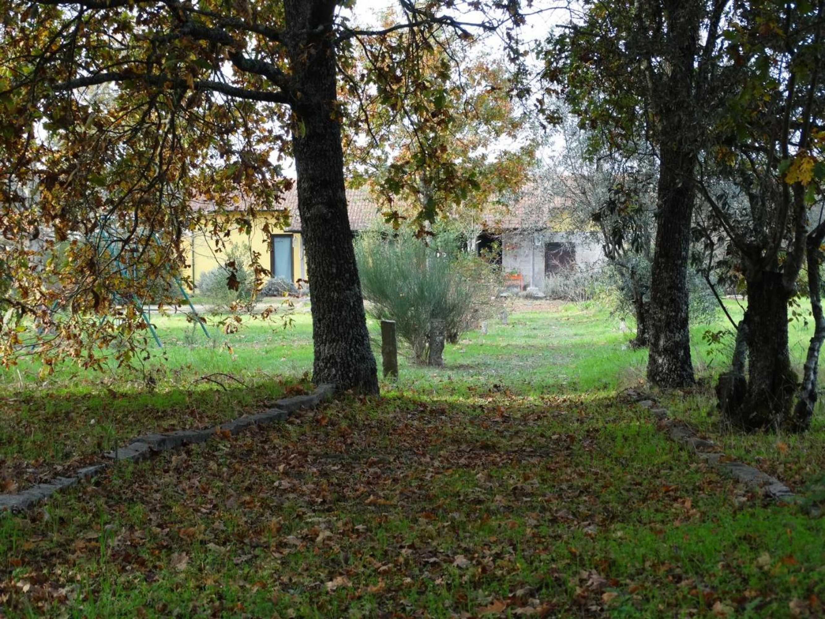 Gift card for Casa Das Palmeiras - Pedagogic Farm Gift card for Casa Das Palmeiras - Pedagogic Farm