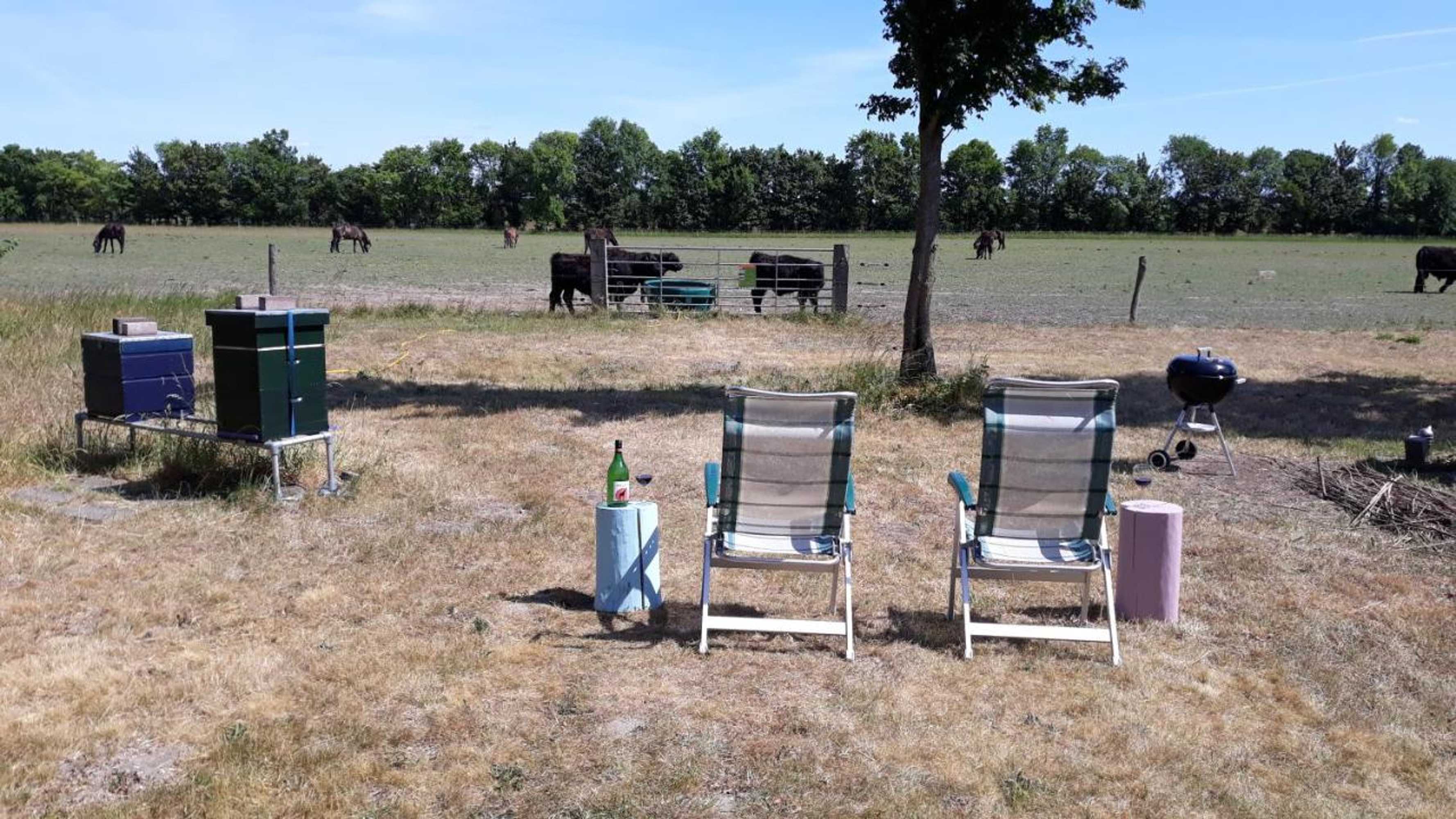 Gift card for Biesbosch Bed & Breakfast Werkendam