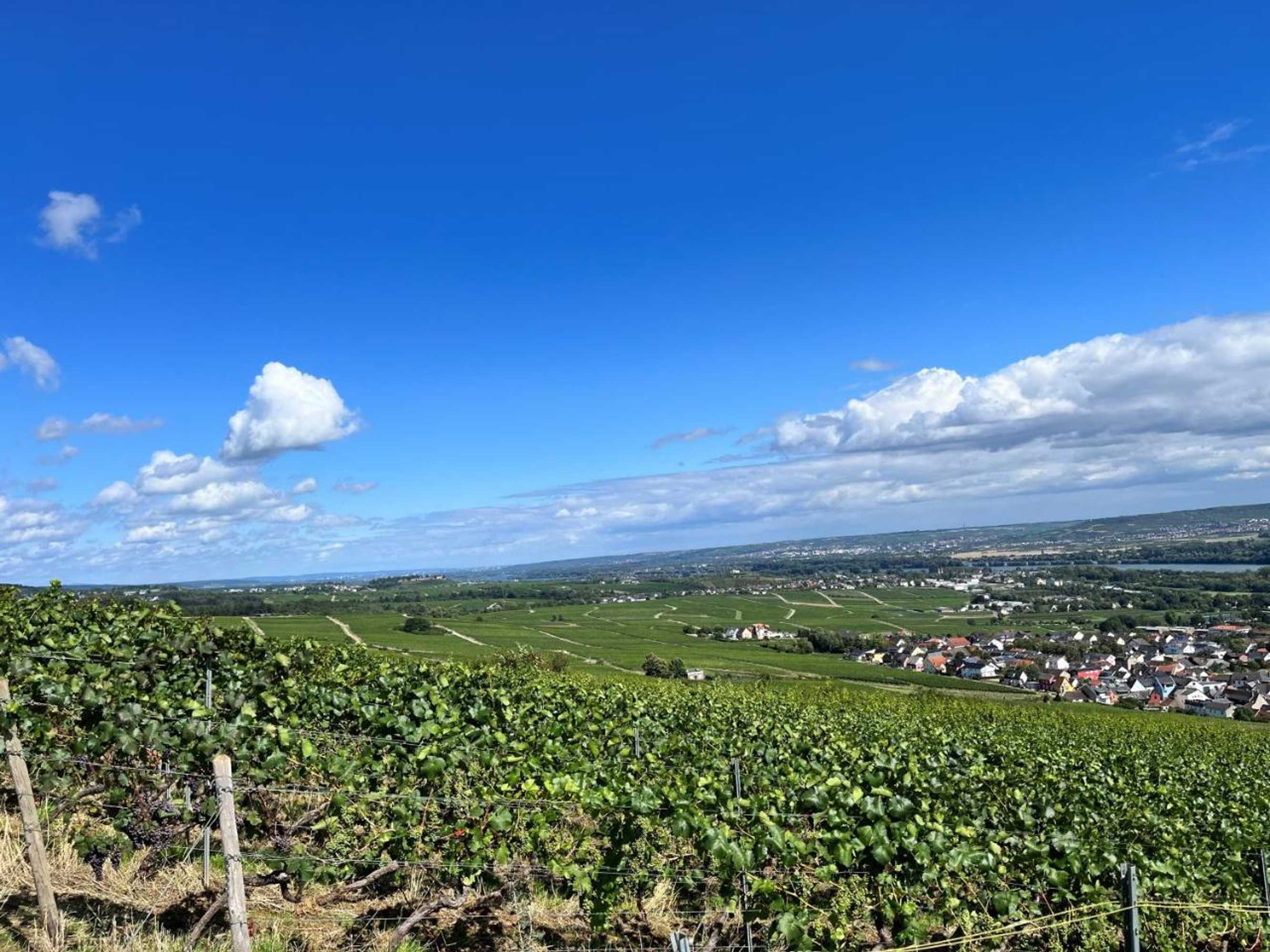 Gift card for Haus Neugebauer-Garni, Johannisberg