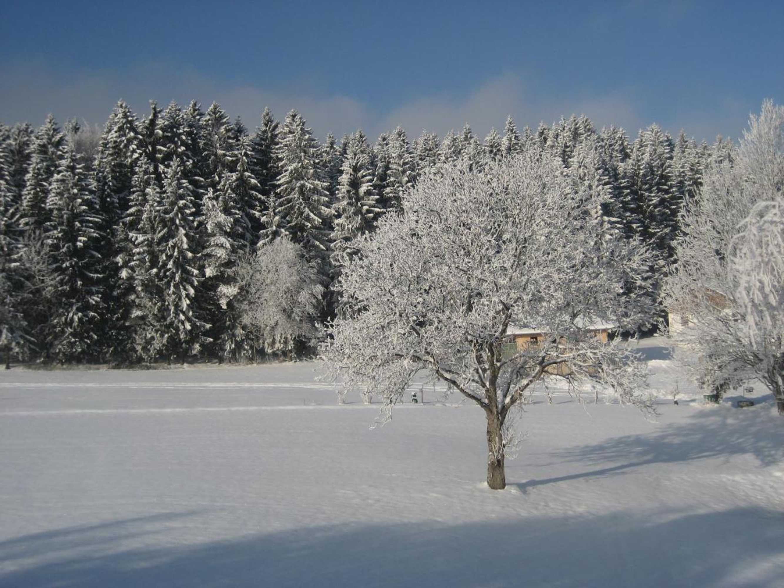 Gift card for Ferienwohnungen Weber