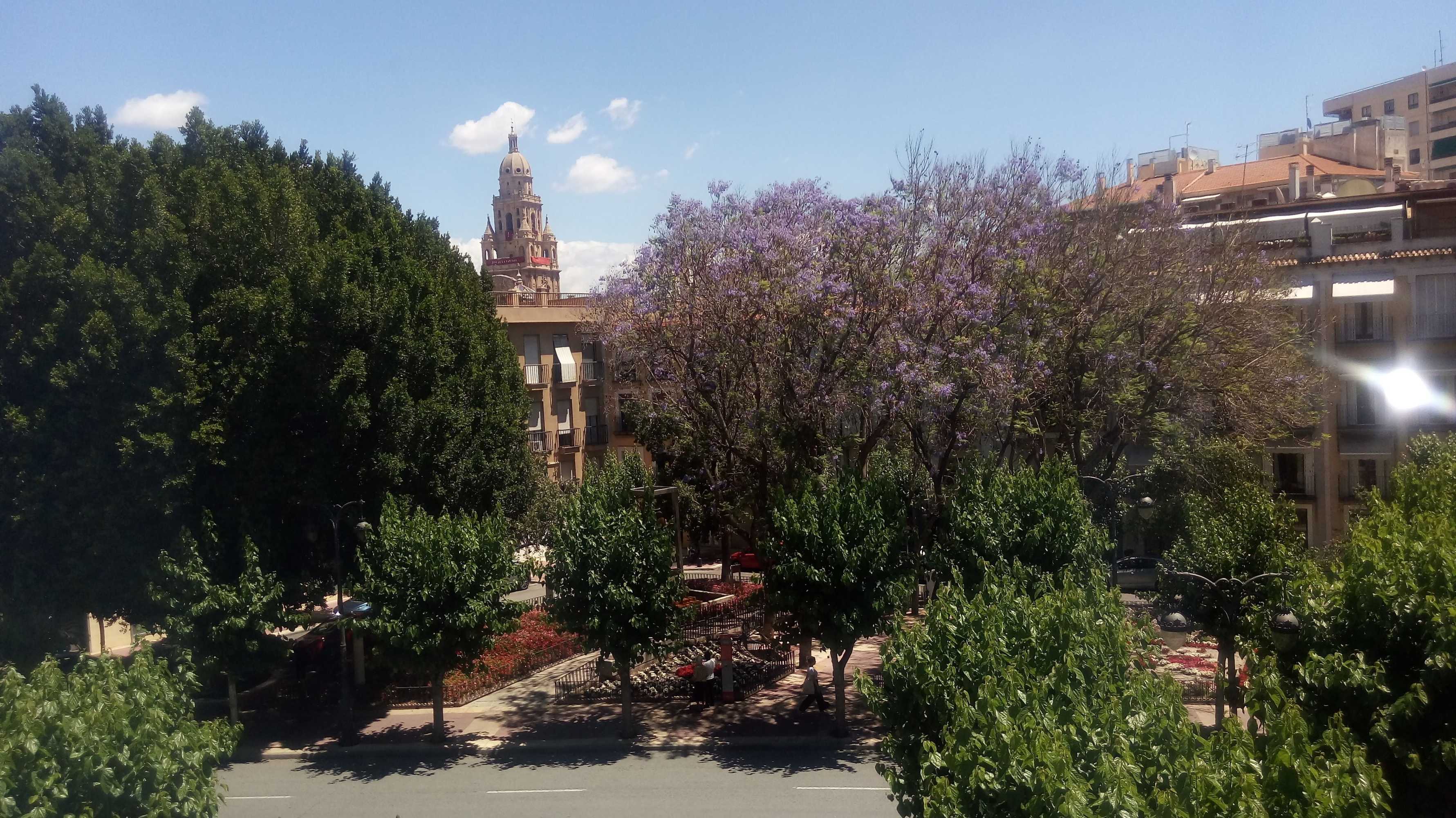 Gift card for Pensión Segura