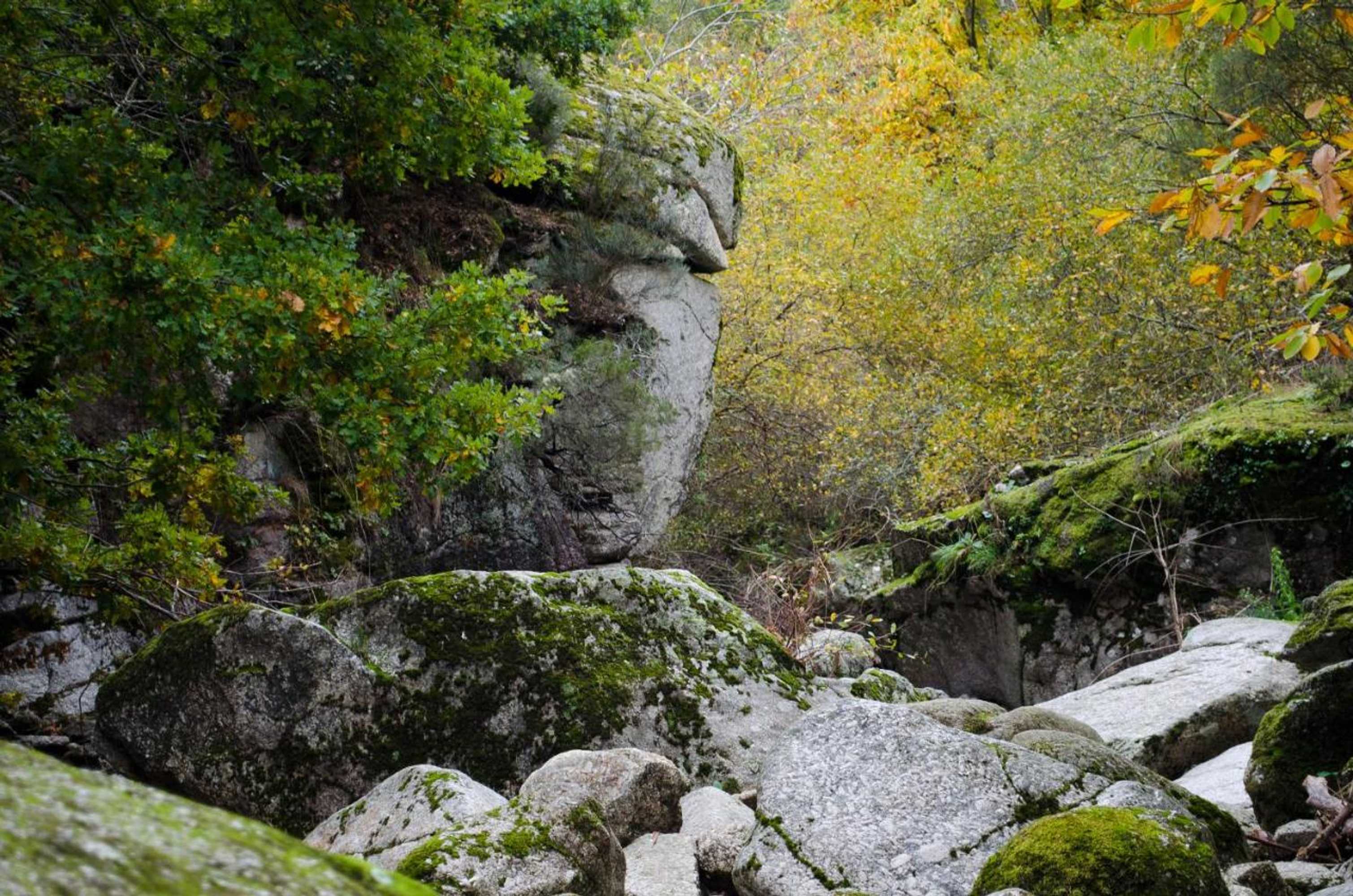 Gift card for Casas do Soito