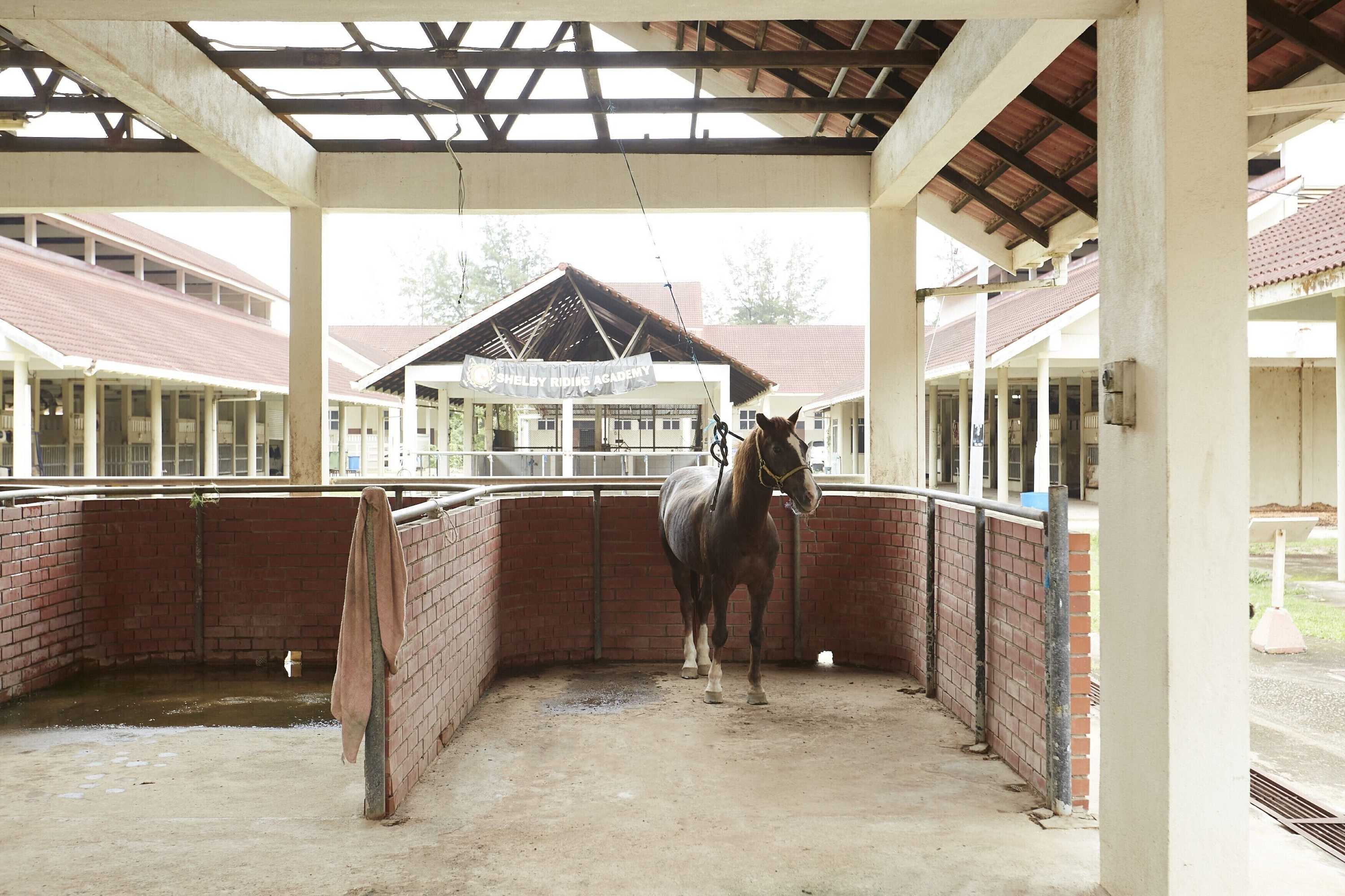 Gift card for Terengganu Equestrian Resort Gift card for Terengganu Equestrian Resort