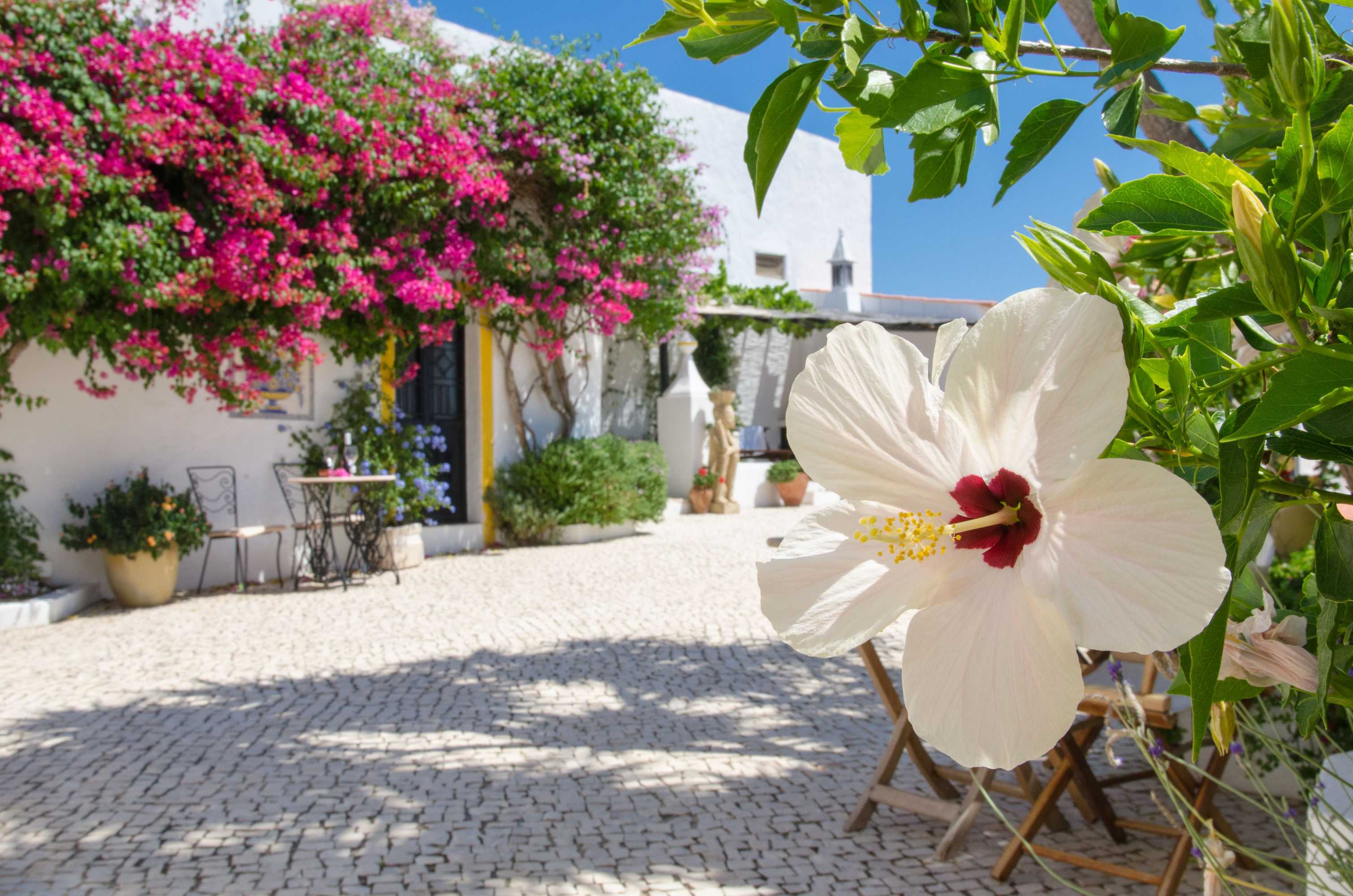 Gift card for Rio Arade Manor House Gift card for Rio Arade Manor House