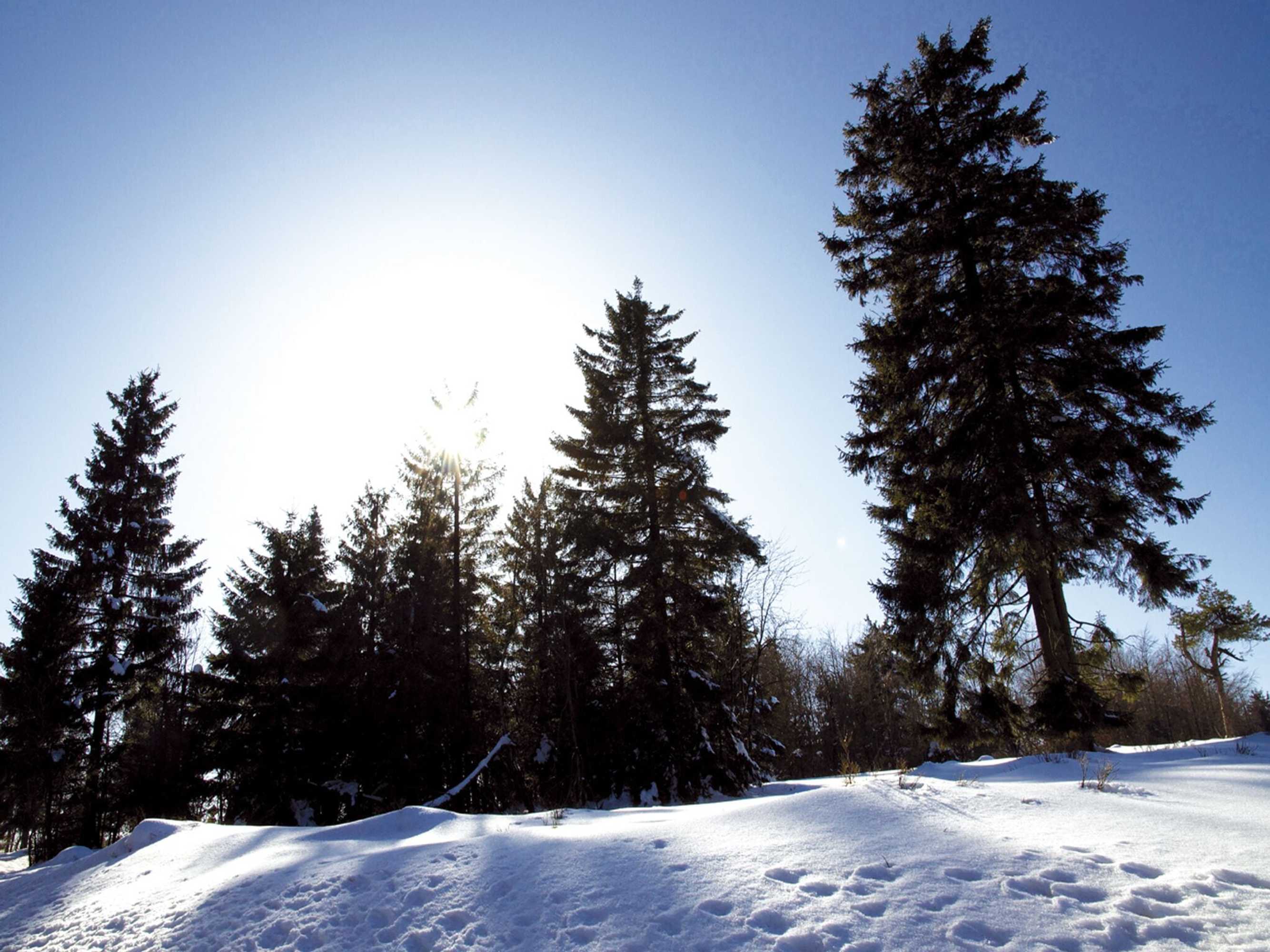 Gift card for Avital Resort Winterberg Gift card for Avital Resort Winterberg