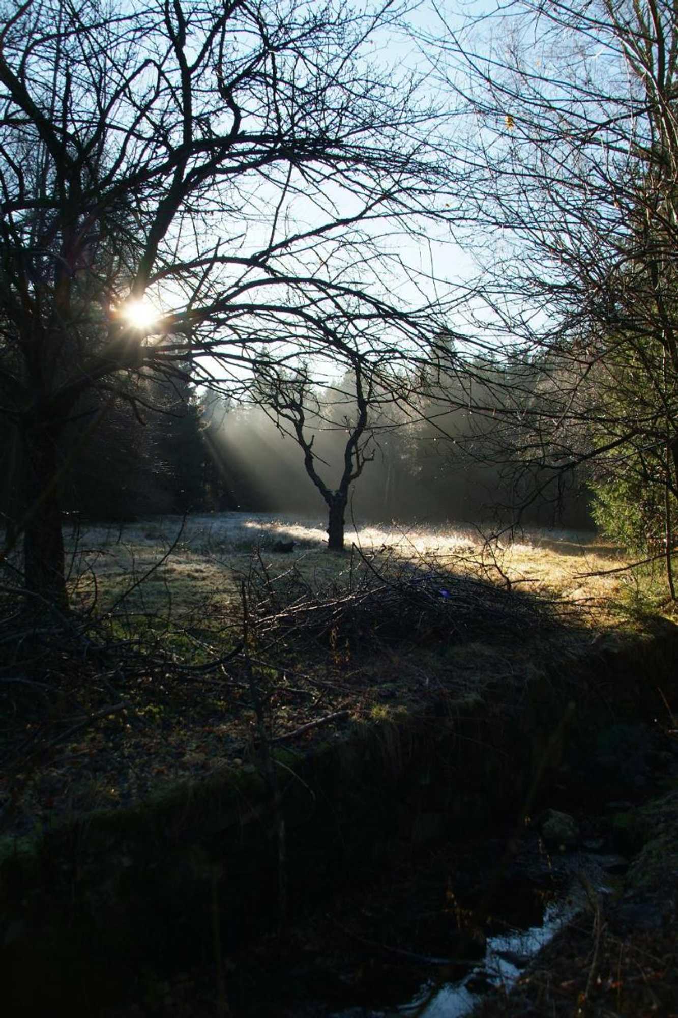 Gift card for Hotel Jägerhalle