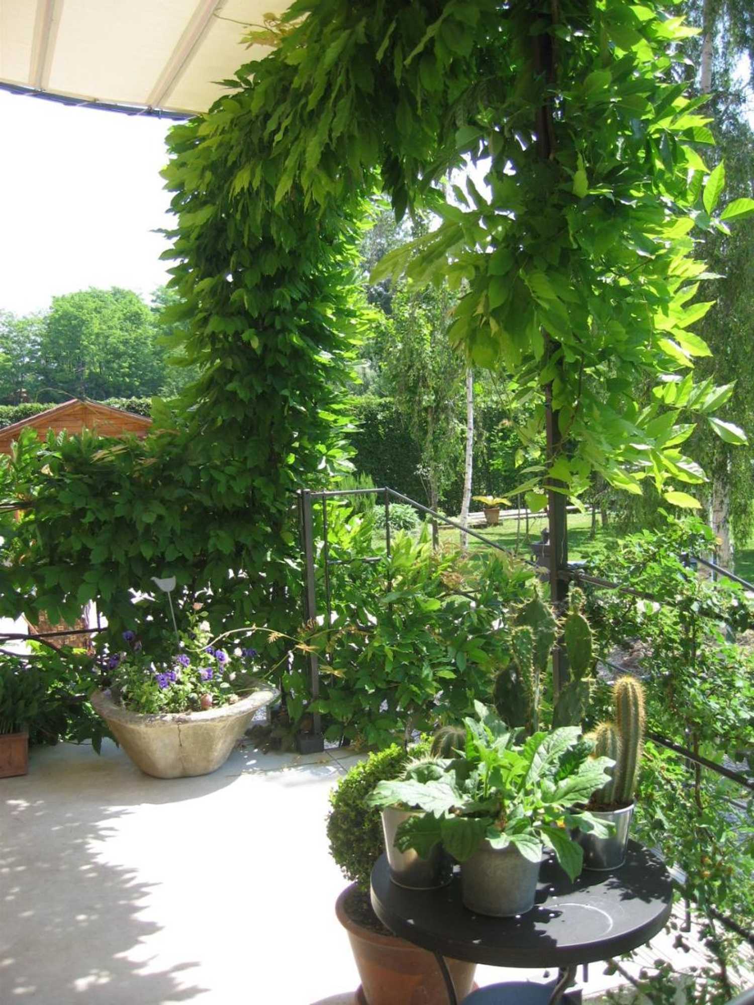 Gift card for B&b Maison Parco Del Brenta
