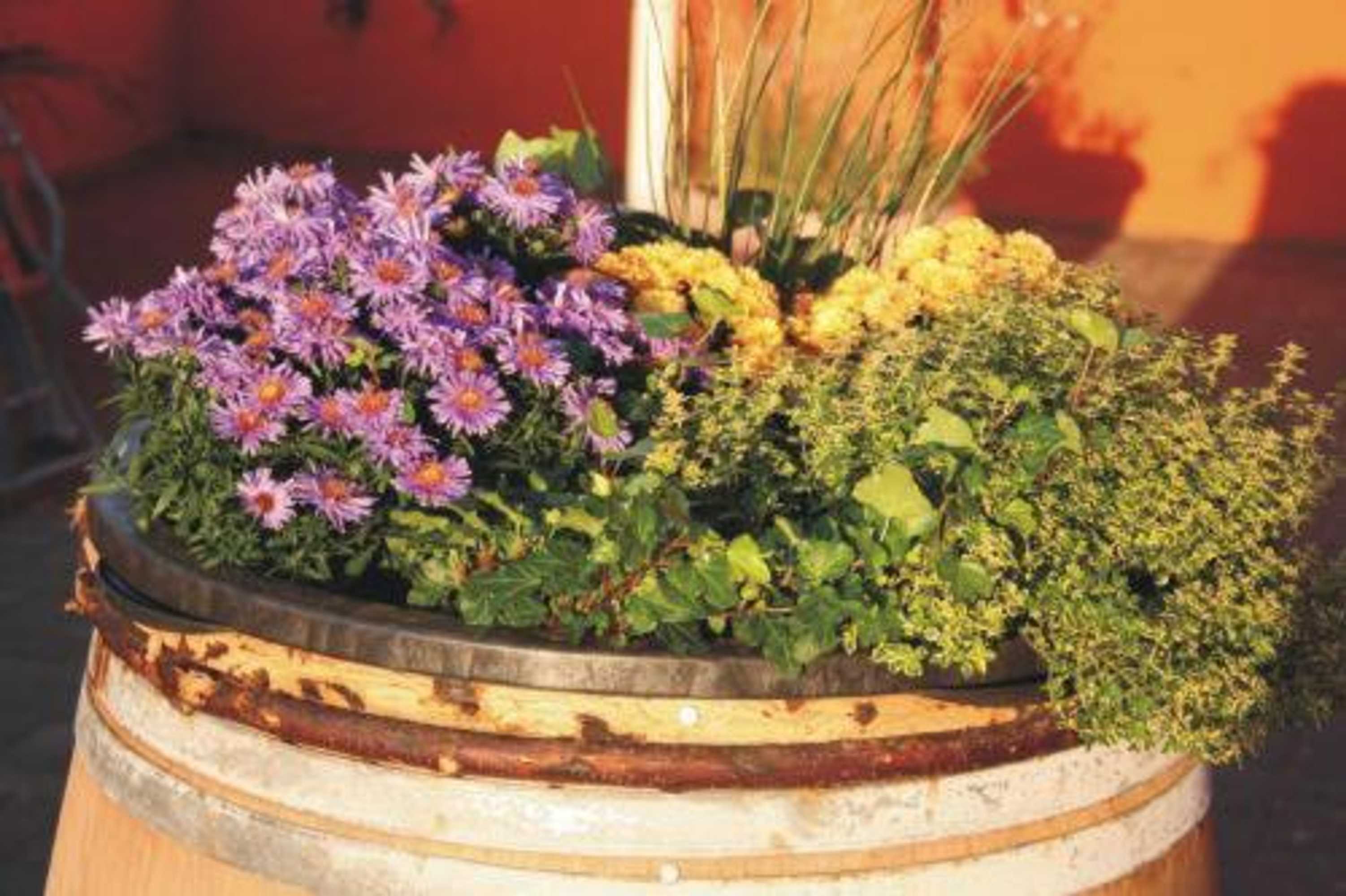 Gift card for Landgasthof am Bäumchen