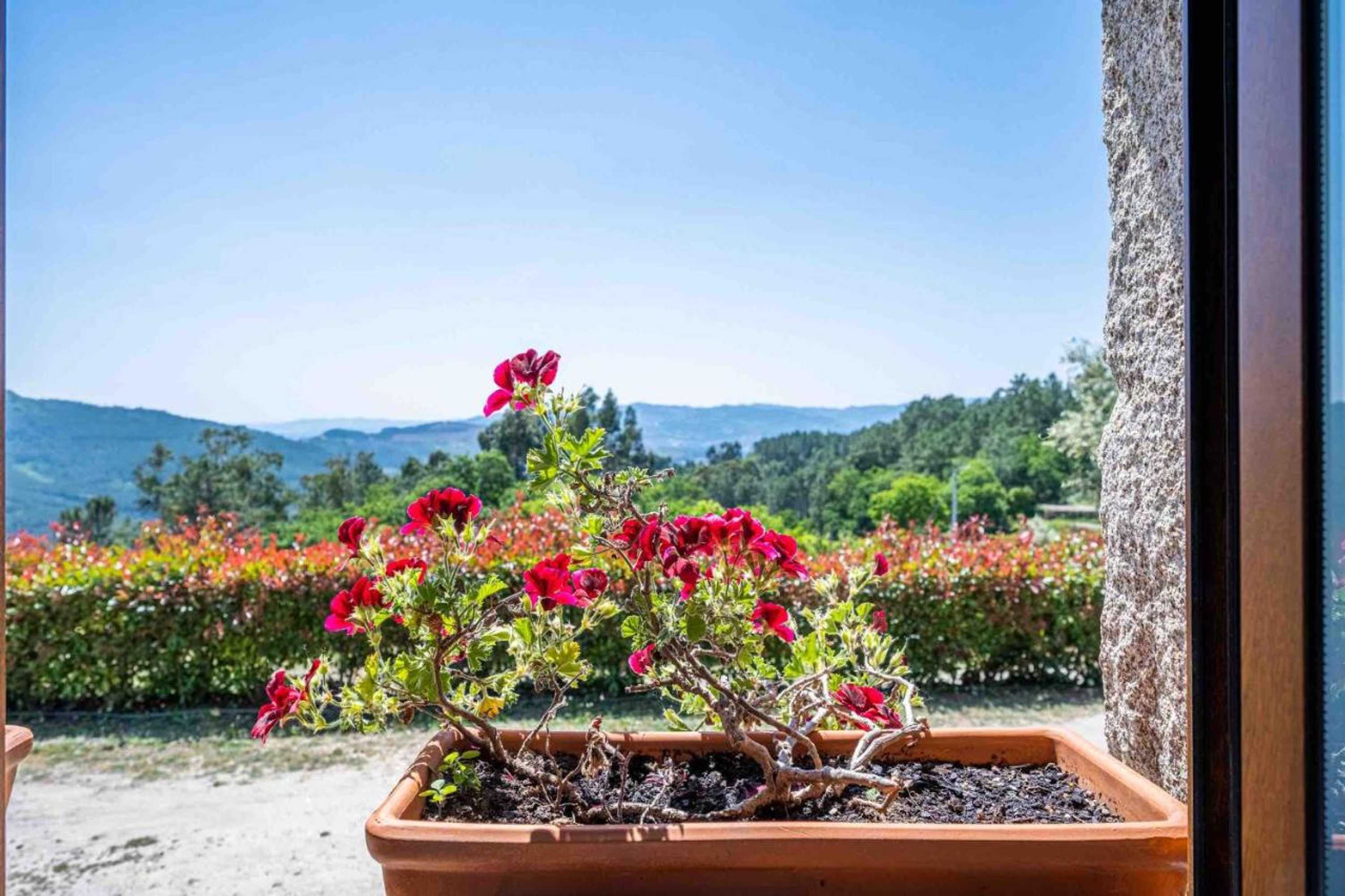 Gift card for Quinta da Baldieira