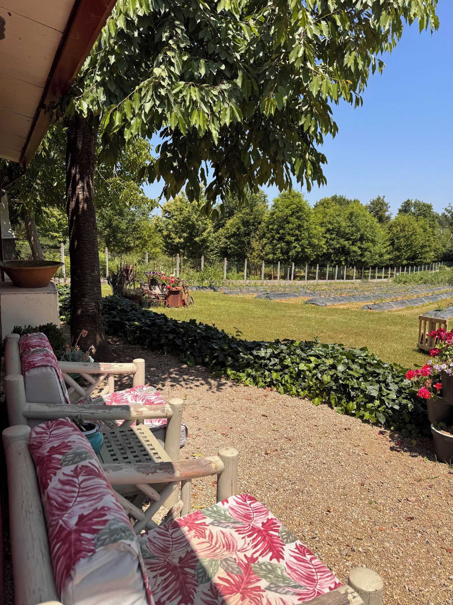 Gift card for Quinta Vale Salgueiro