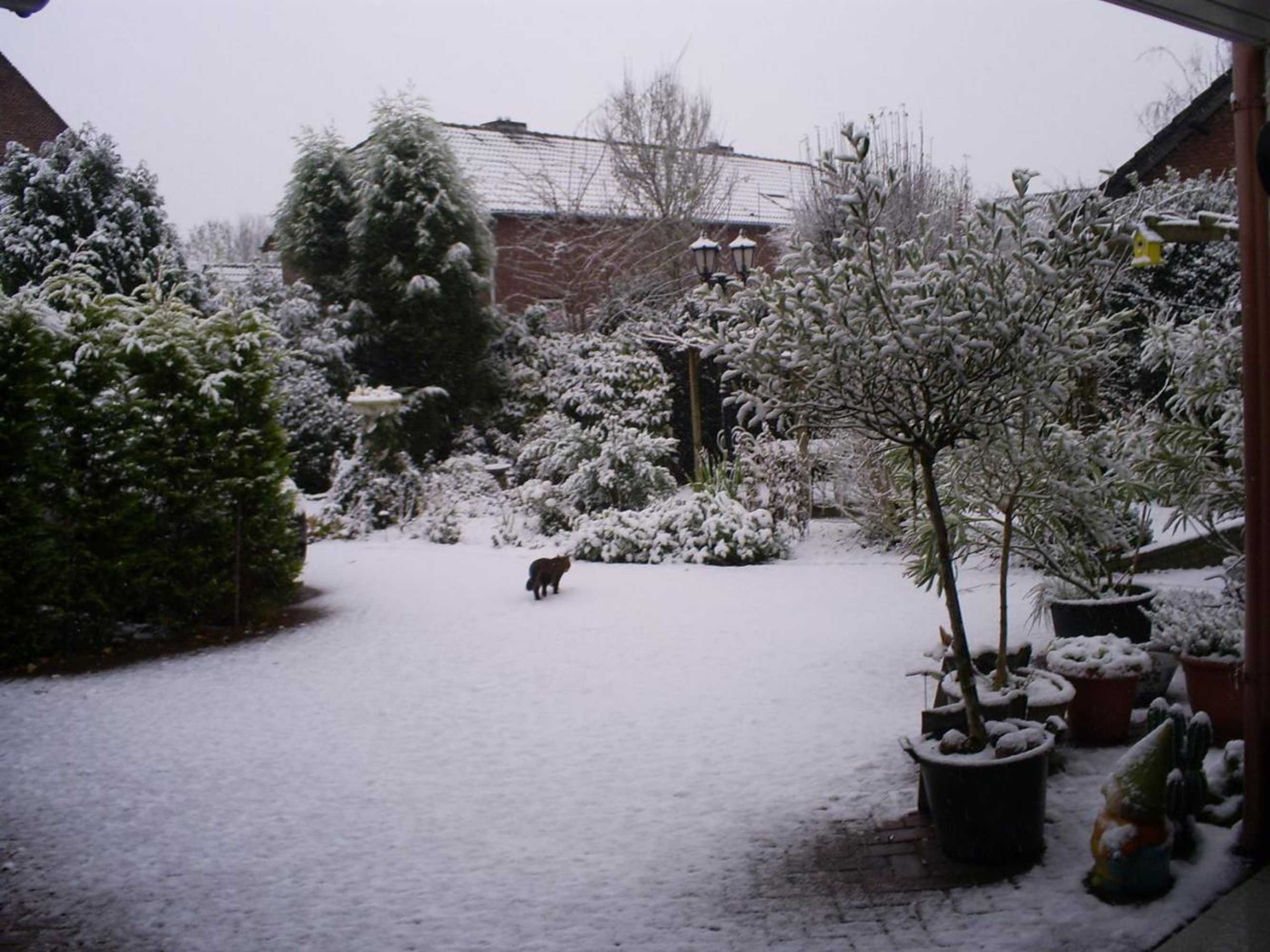 Gift card for Bed And Breakfast Azzurro