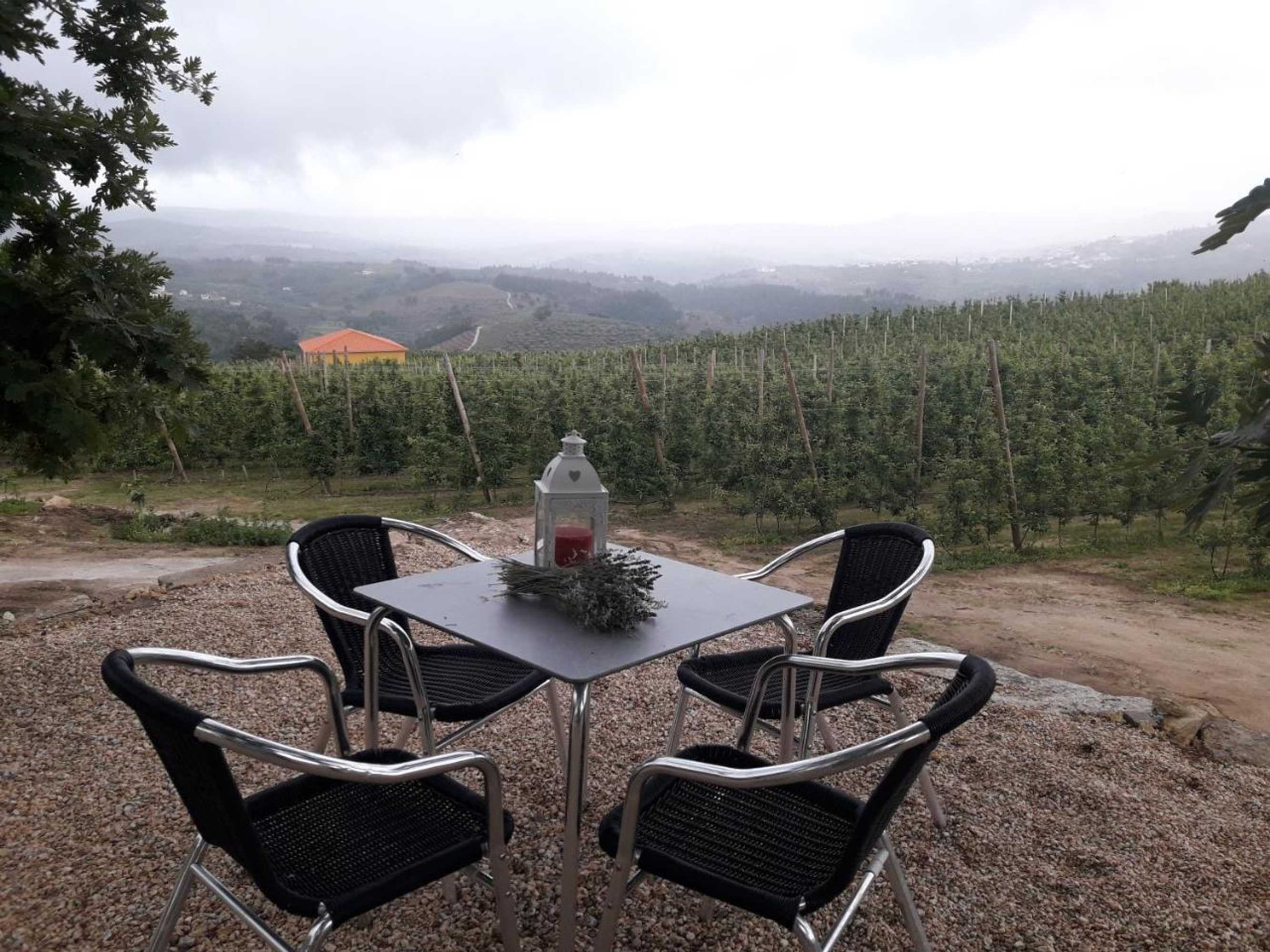 Gift card for Casa do Feitor - Douro - Quinta da Cabrida Gift card for Casa do Feitor - Douro - Quinta da Cabrida