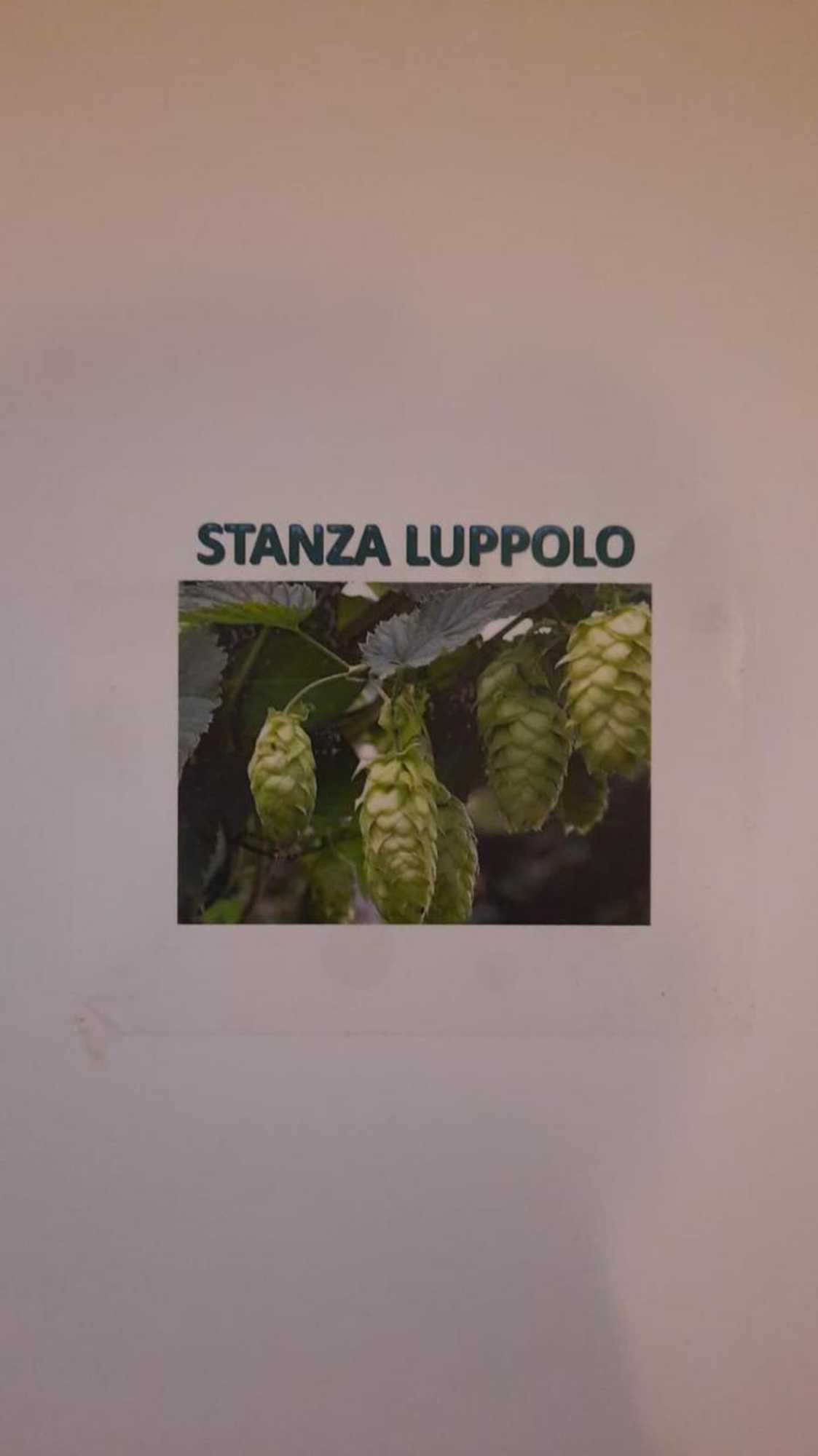 Gift card for Corte Della Birra - Oldo Gift card for Corte Della Birra - Oldo