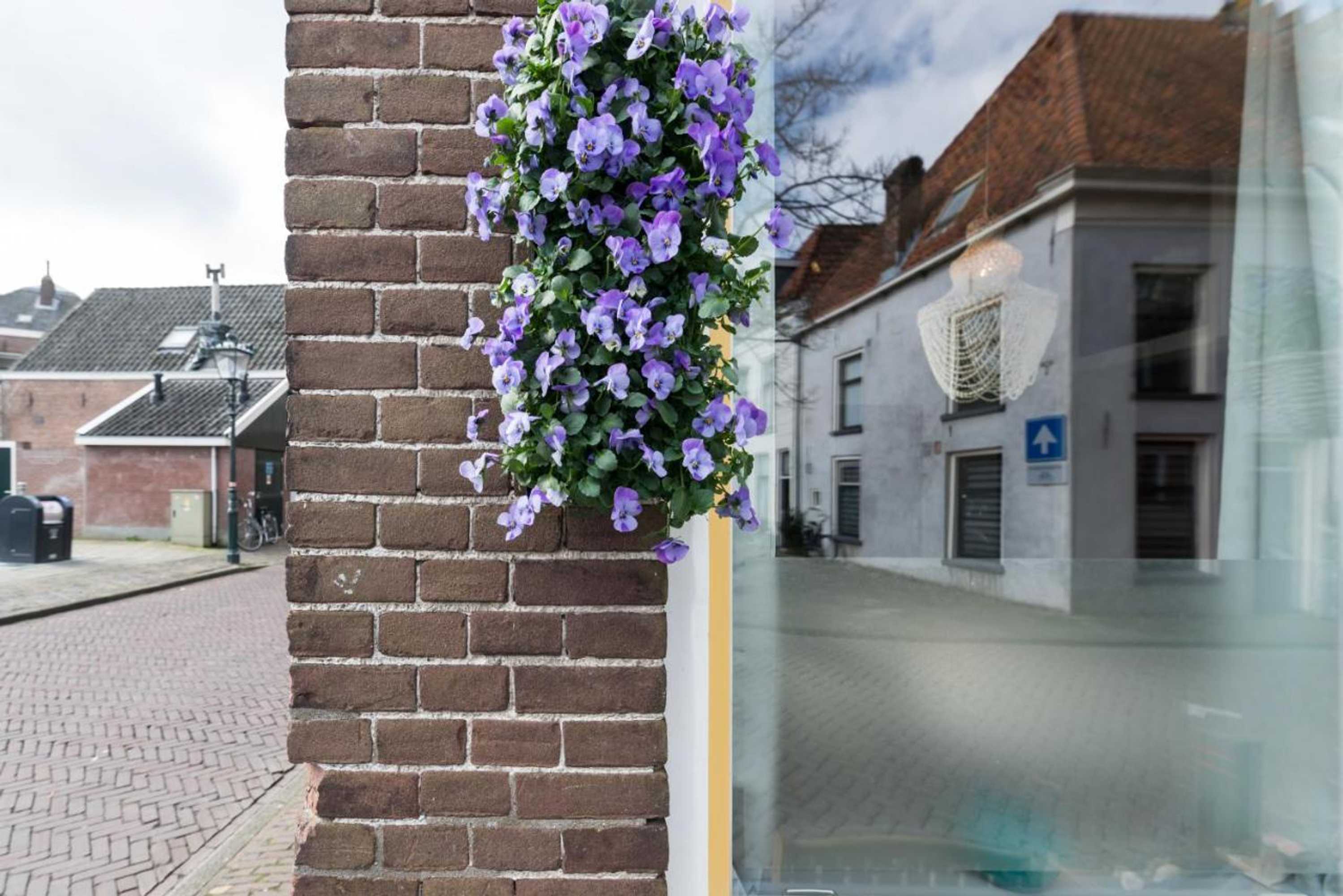 Gift card for De Juttershoek Centrum