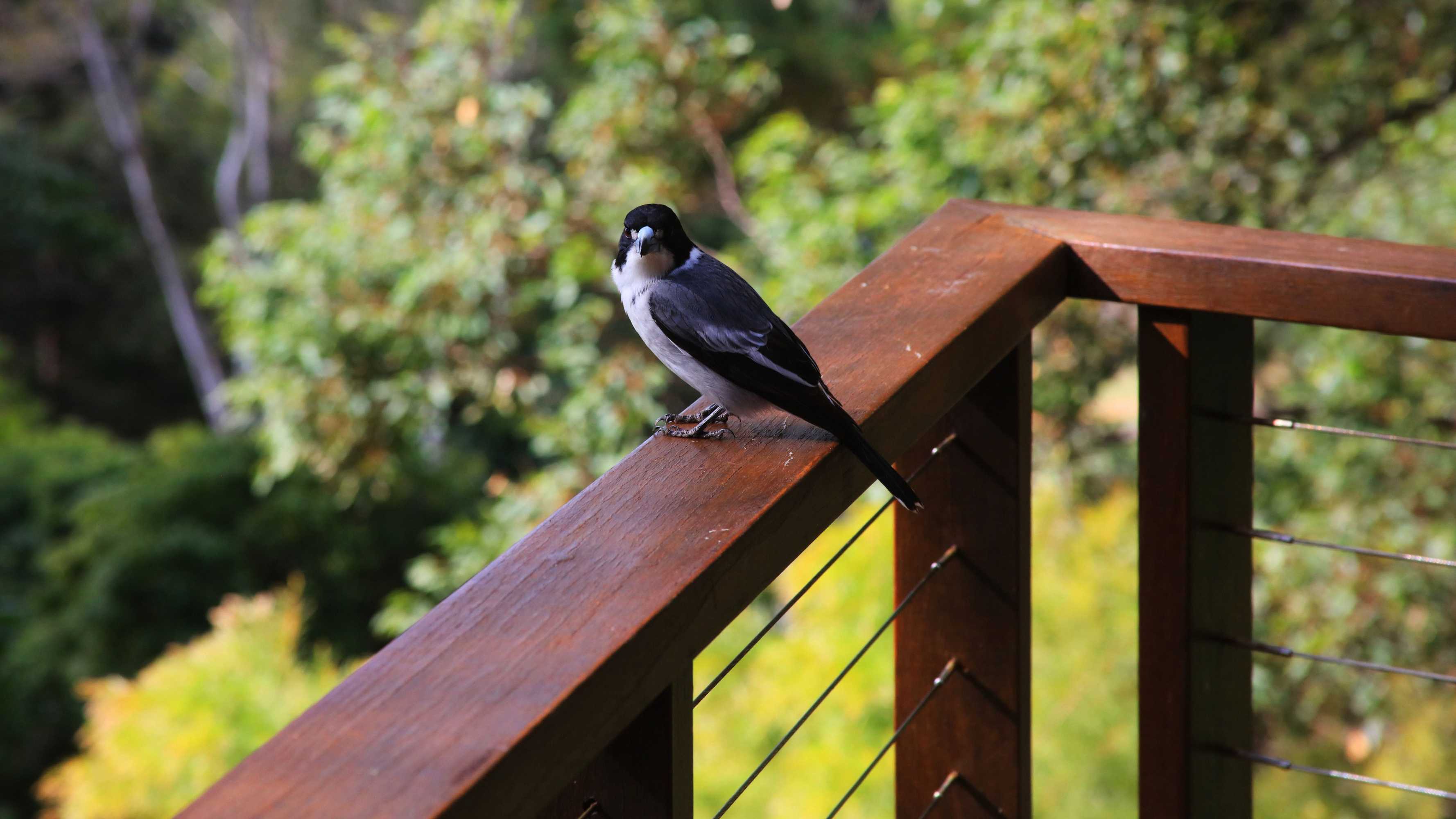 Gift card for Montville Oceanview Cottages