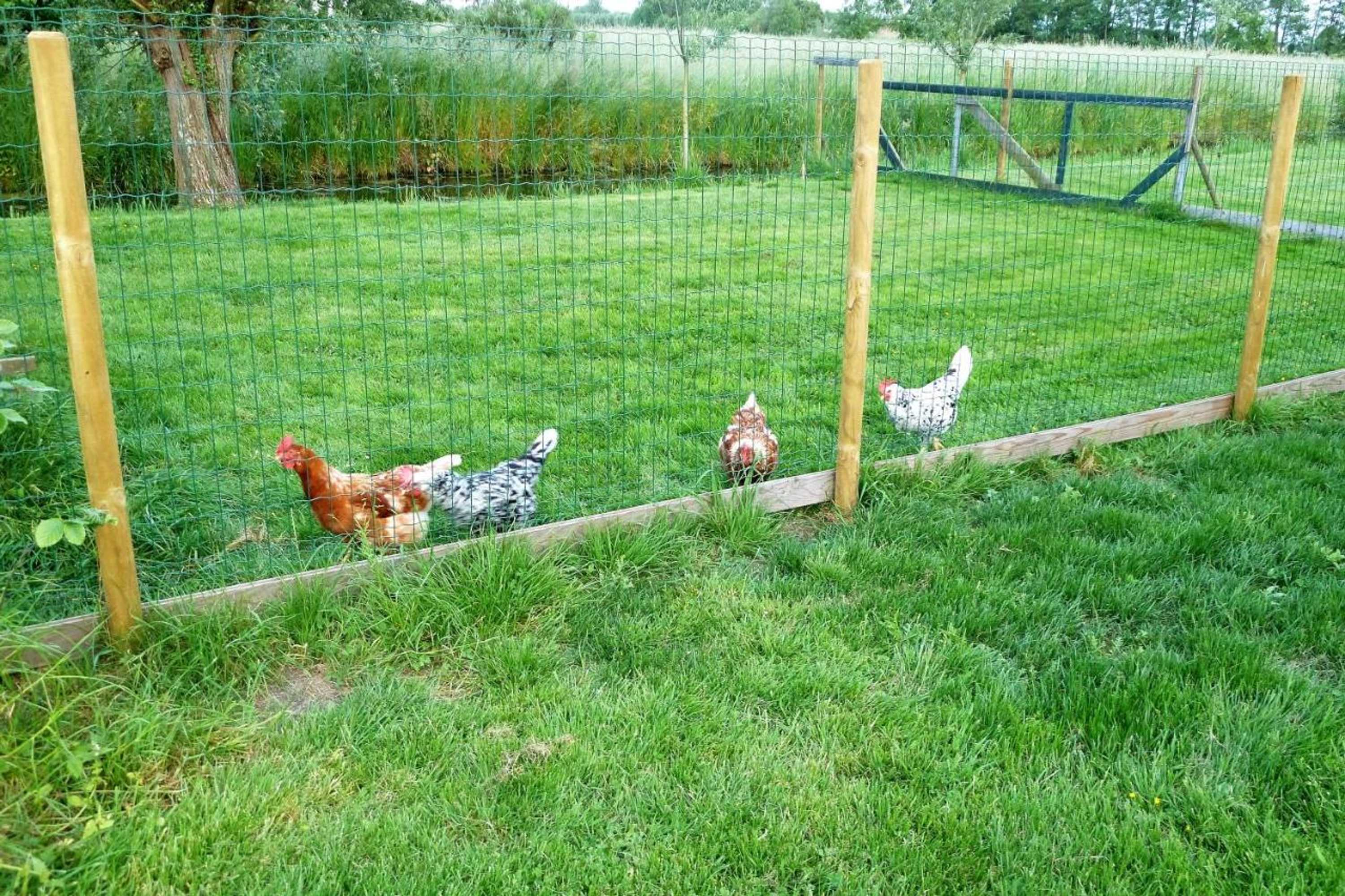 Gift card for Bed&breakfast Hoornaar