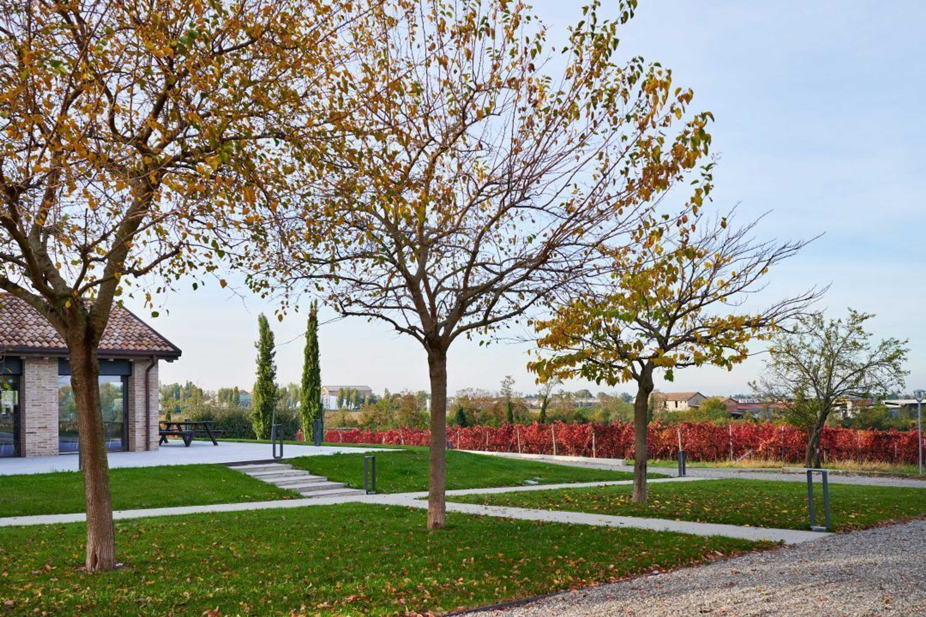 Gift card for Agriturismo La Razza Gift card for Agriturismo La Razza