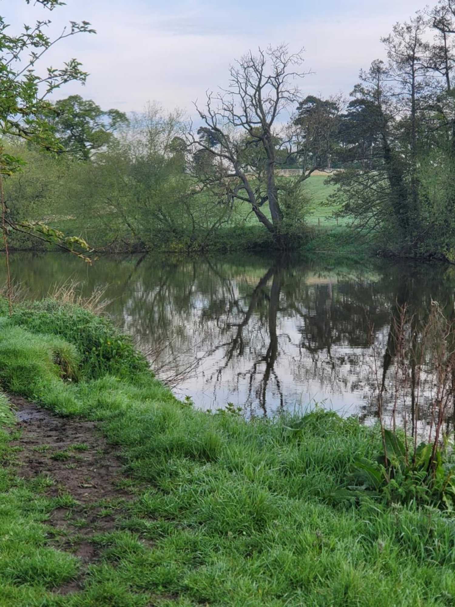 Gift card for The Jackdaw