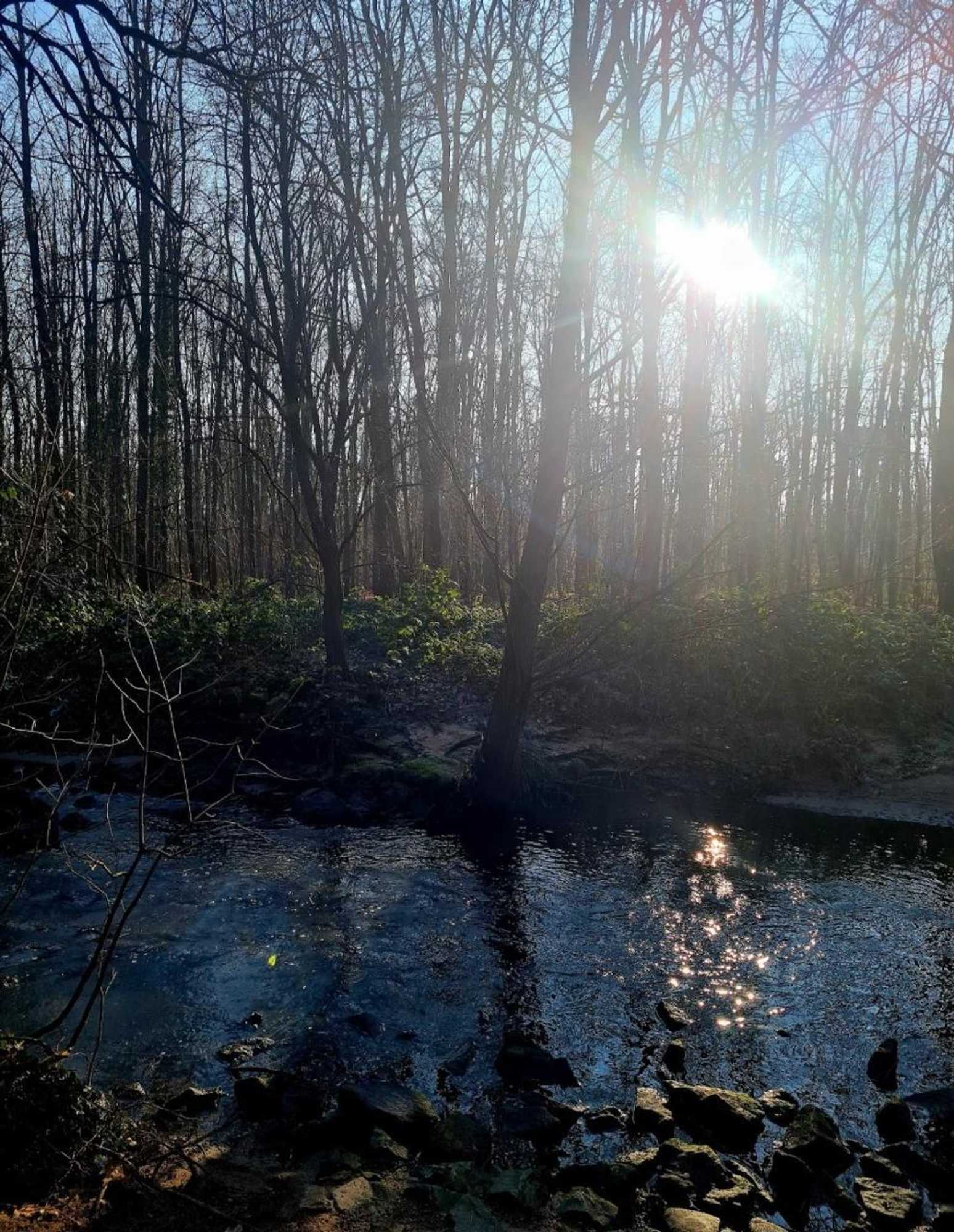 Gift card for Hotel Reuterhof