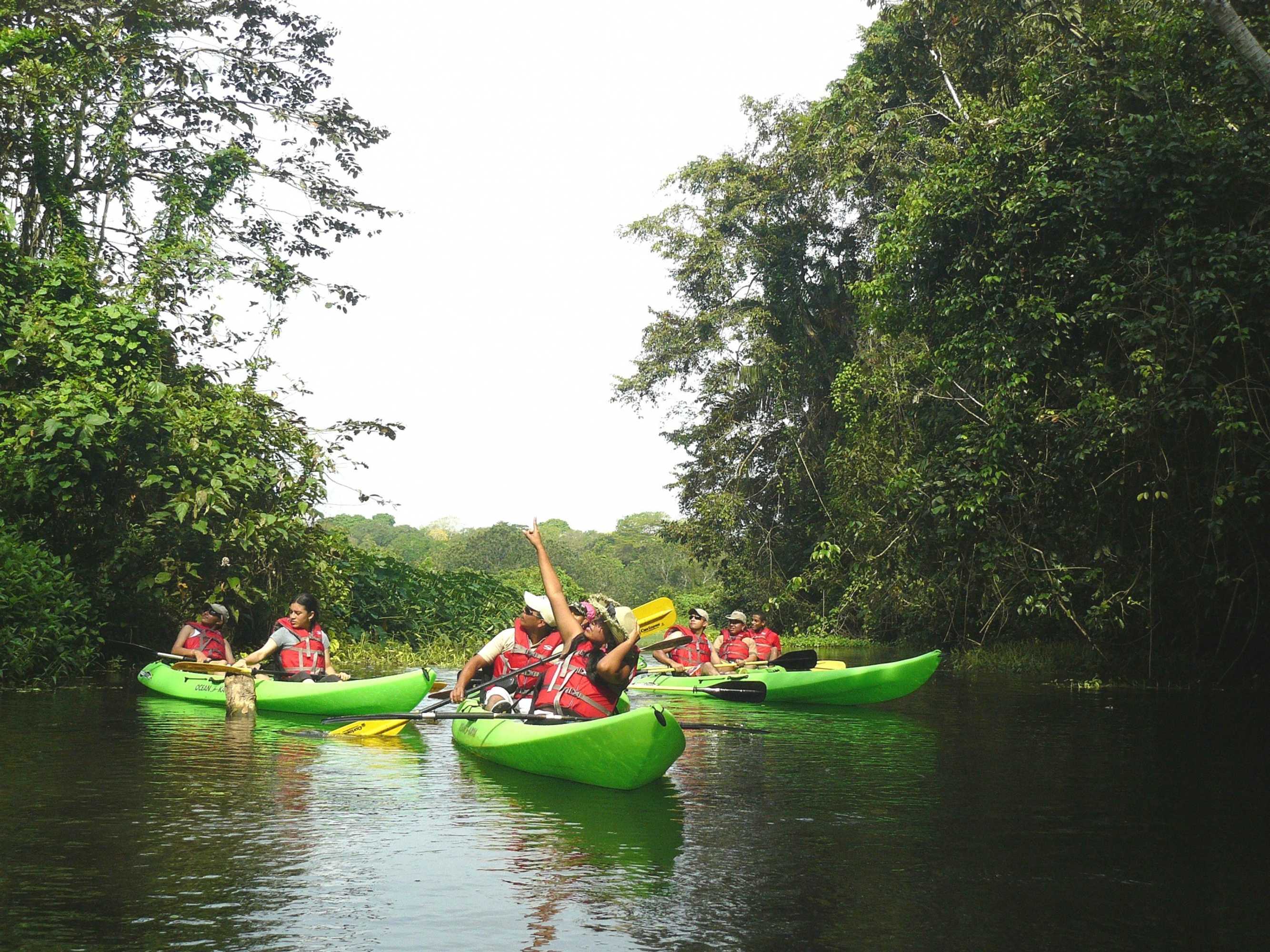Gift card for Gamboa Rainforest Reserve Gift card for Gamboa Rainforest Reserve