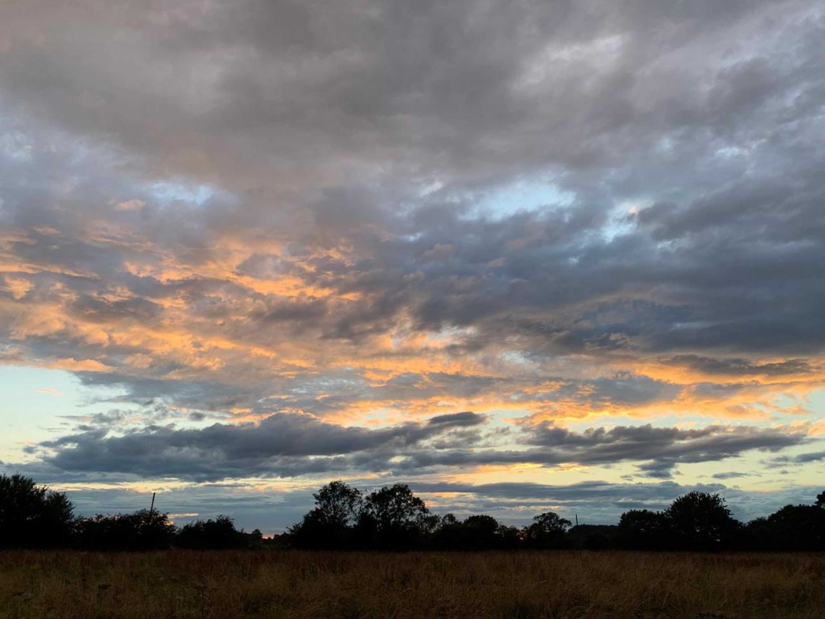 Gift card for Bluebell Barn