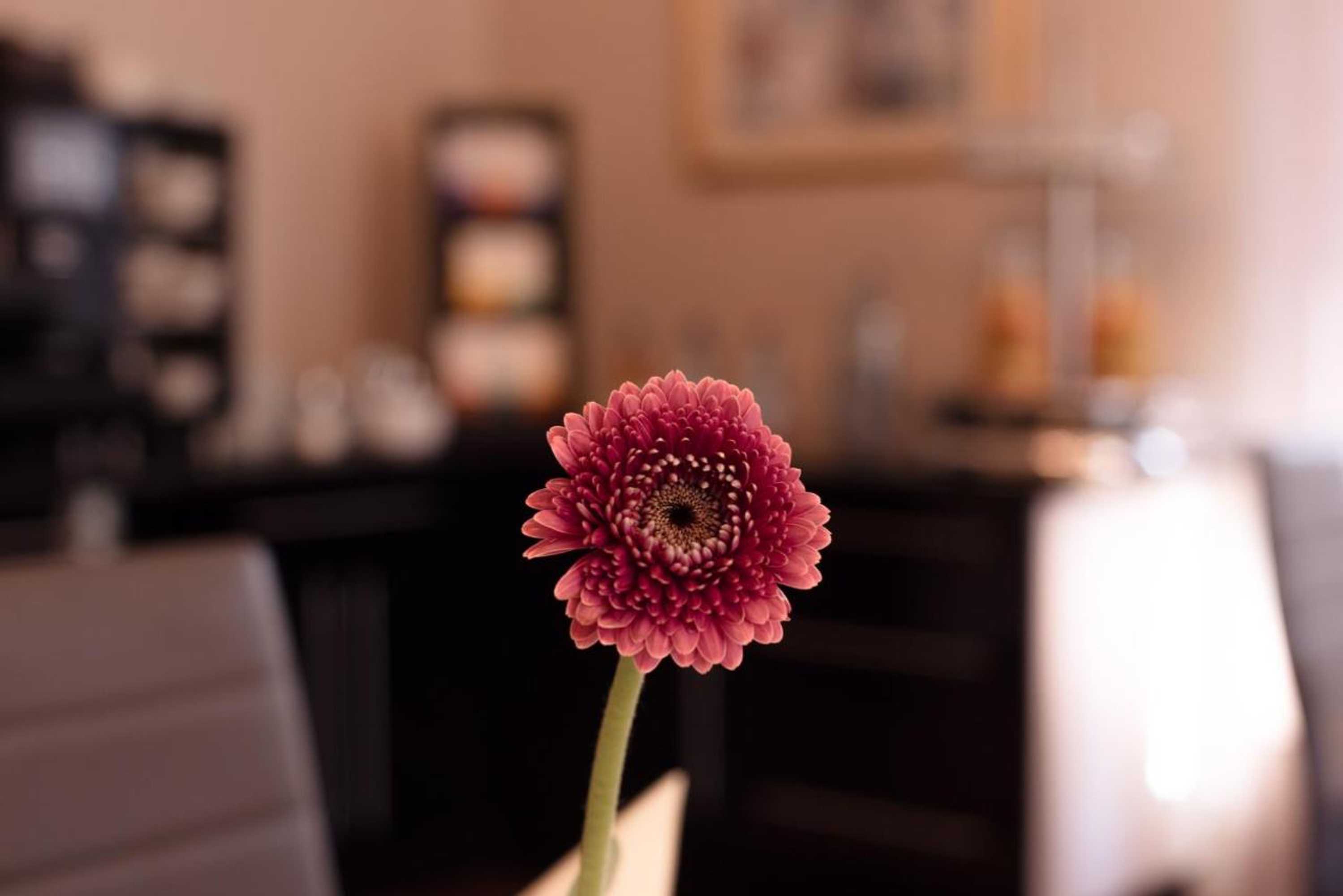 Gift card for Hotel Das Kleine Ritz