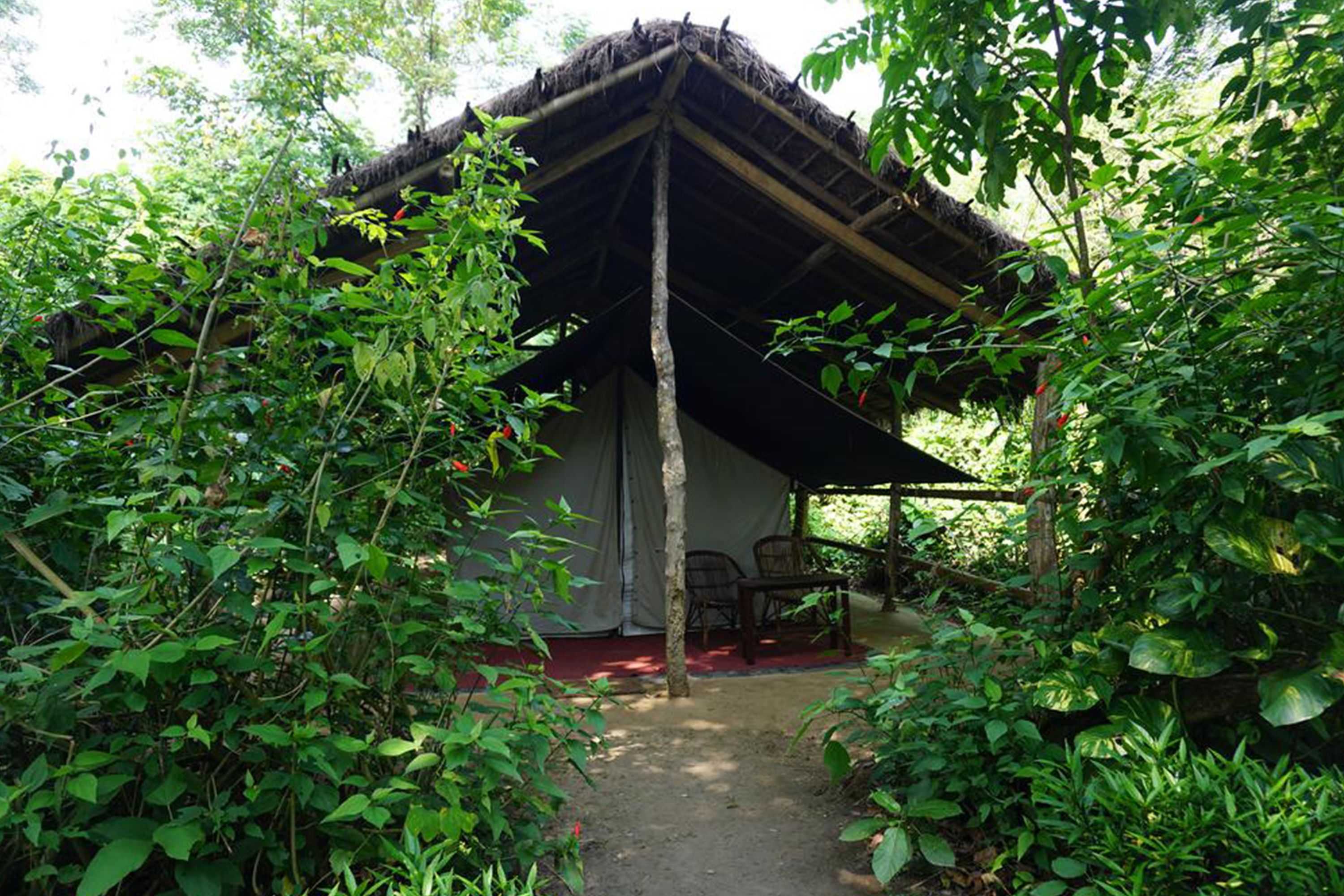 Gift card for Tiger Tops Tharu Lodge Gift card for Tiger Tops Tharu Lodge