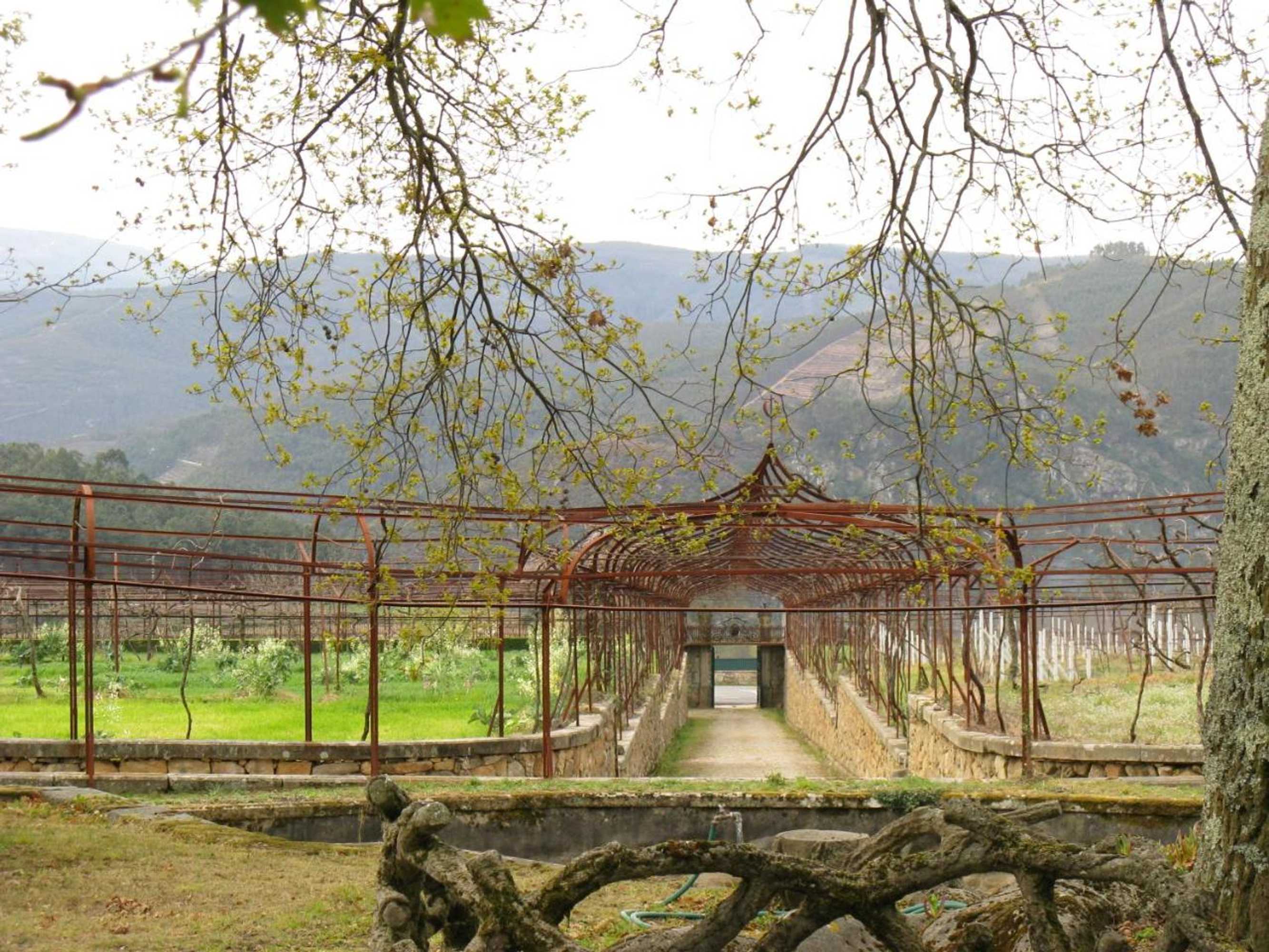 Gift card for Vila Guiomar - Casa da Eira Gift card for Vila Guiomar - Casa da Eira