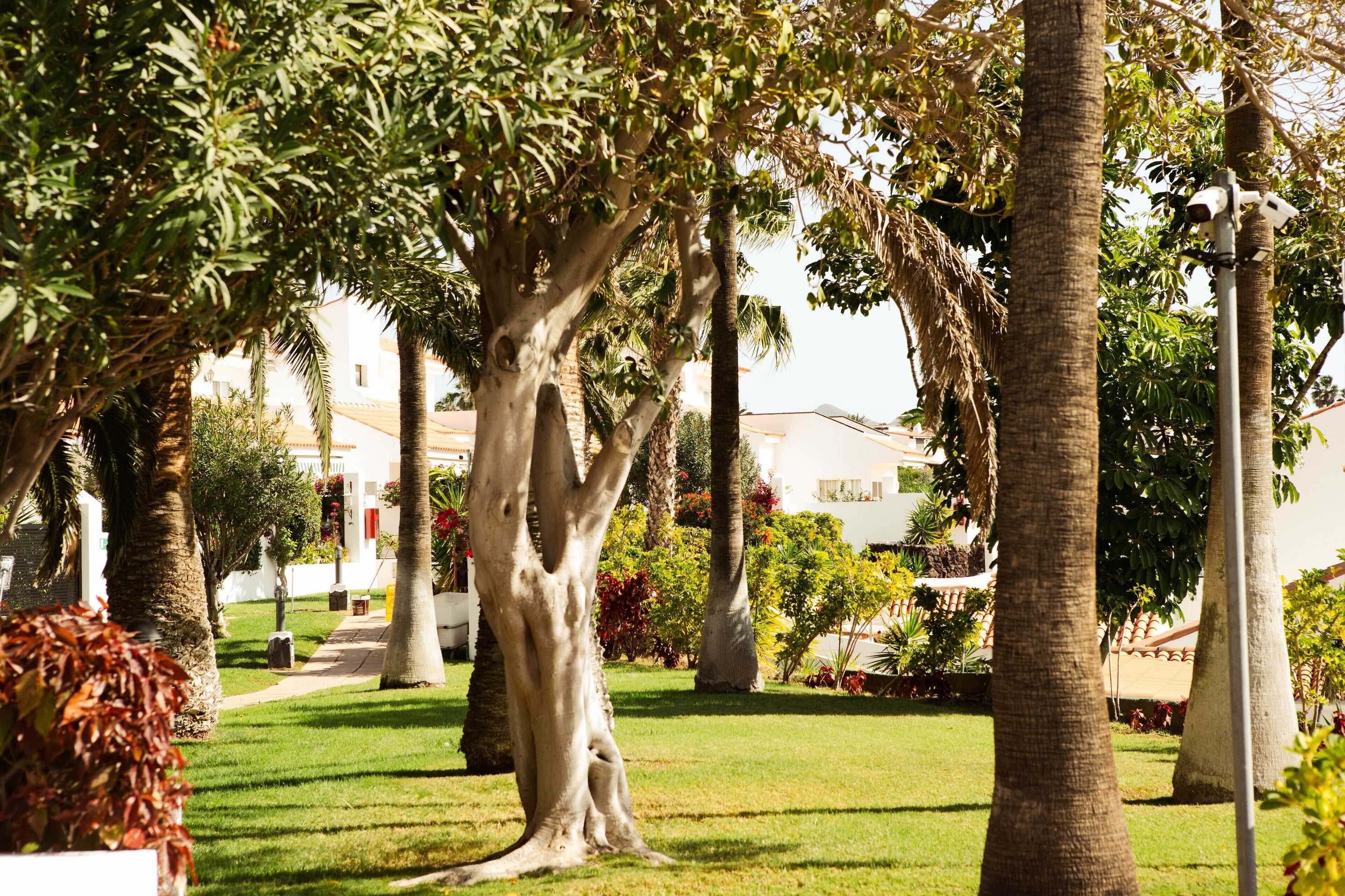 Gift card for Wyndham Residences Golf Del Sur Gift card for Wyndham Residences Golf Del Sur