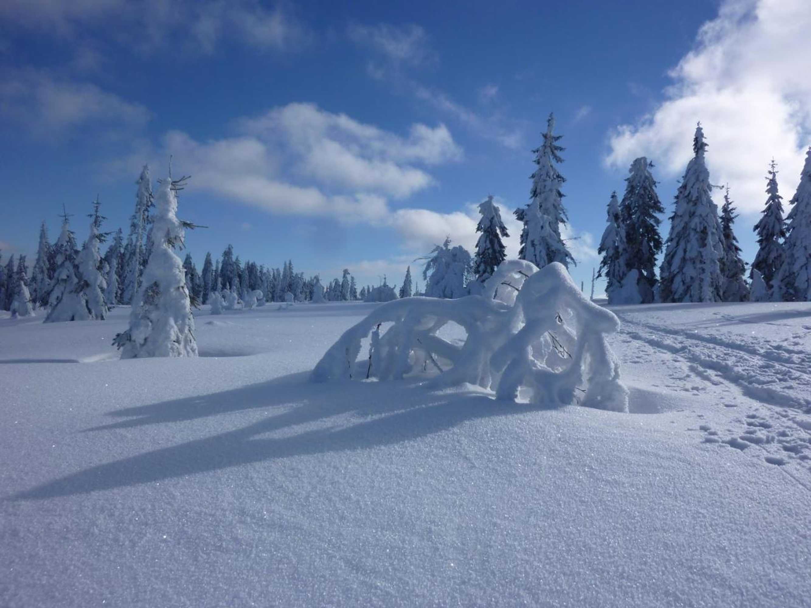 Gift card for Hotel Zur Waldbahn