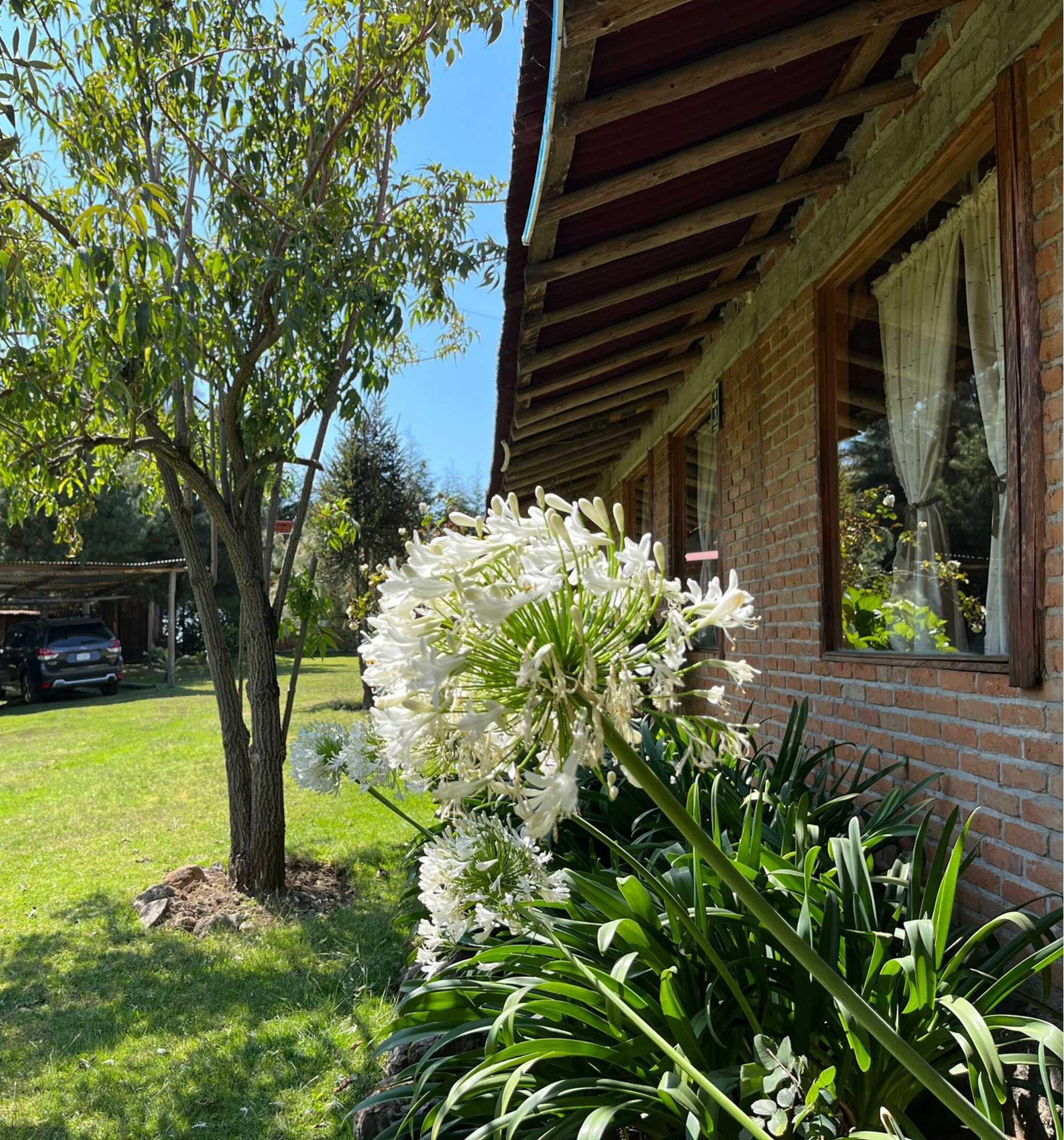 Gift card for Chalet