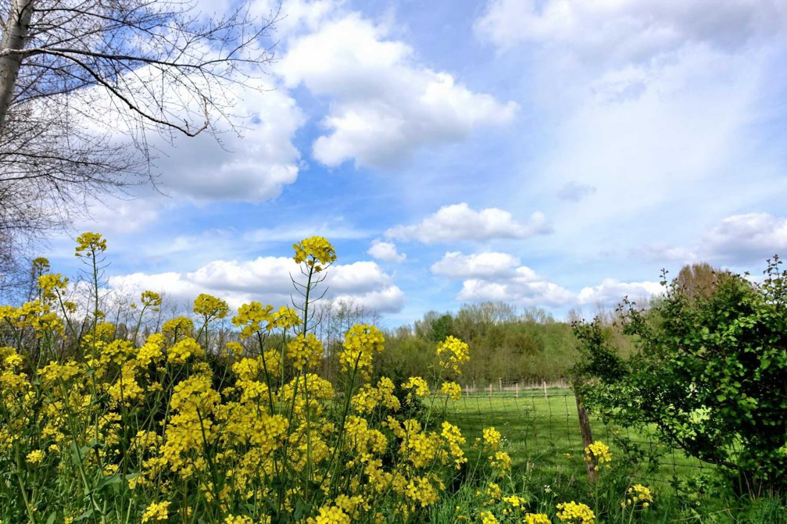 Gift card for Weibos Bed & Breakfast