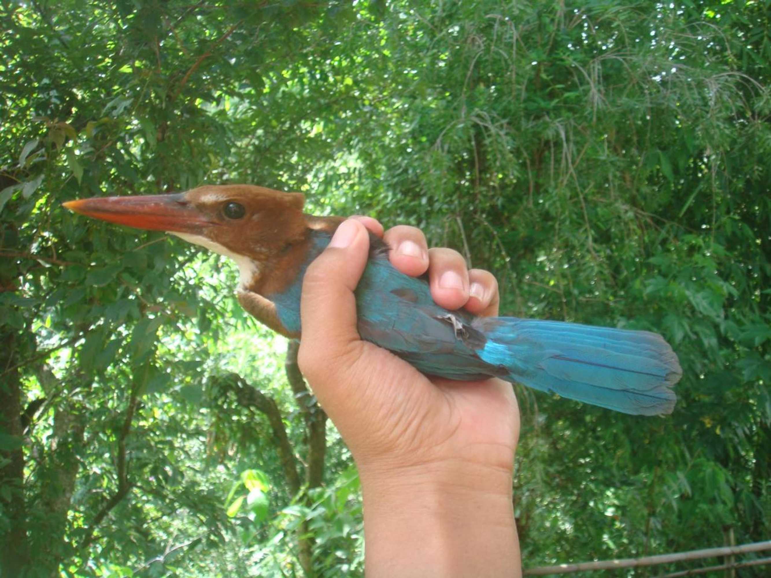 Gift card for Shiva Guest House