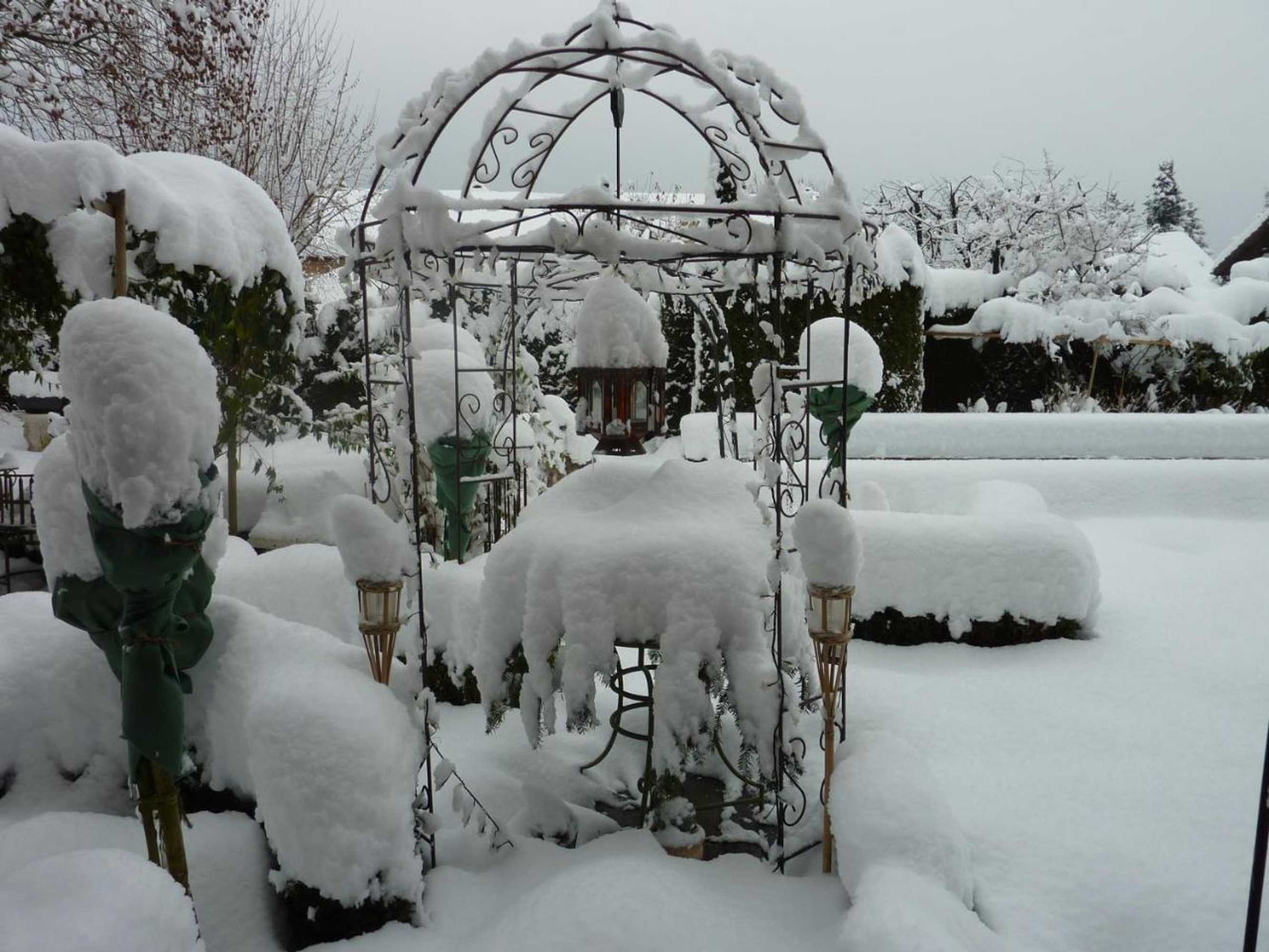 Gift card for Im Röseligarten