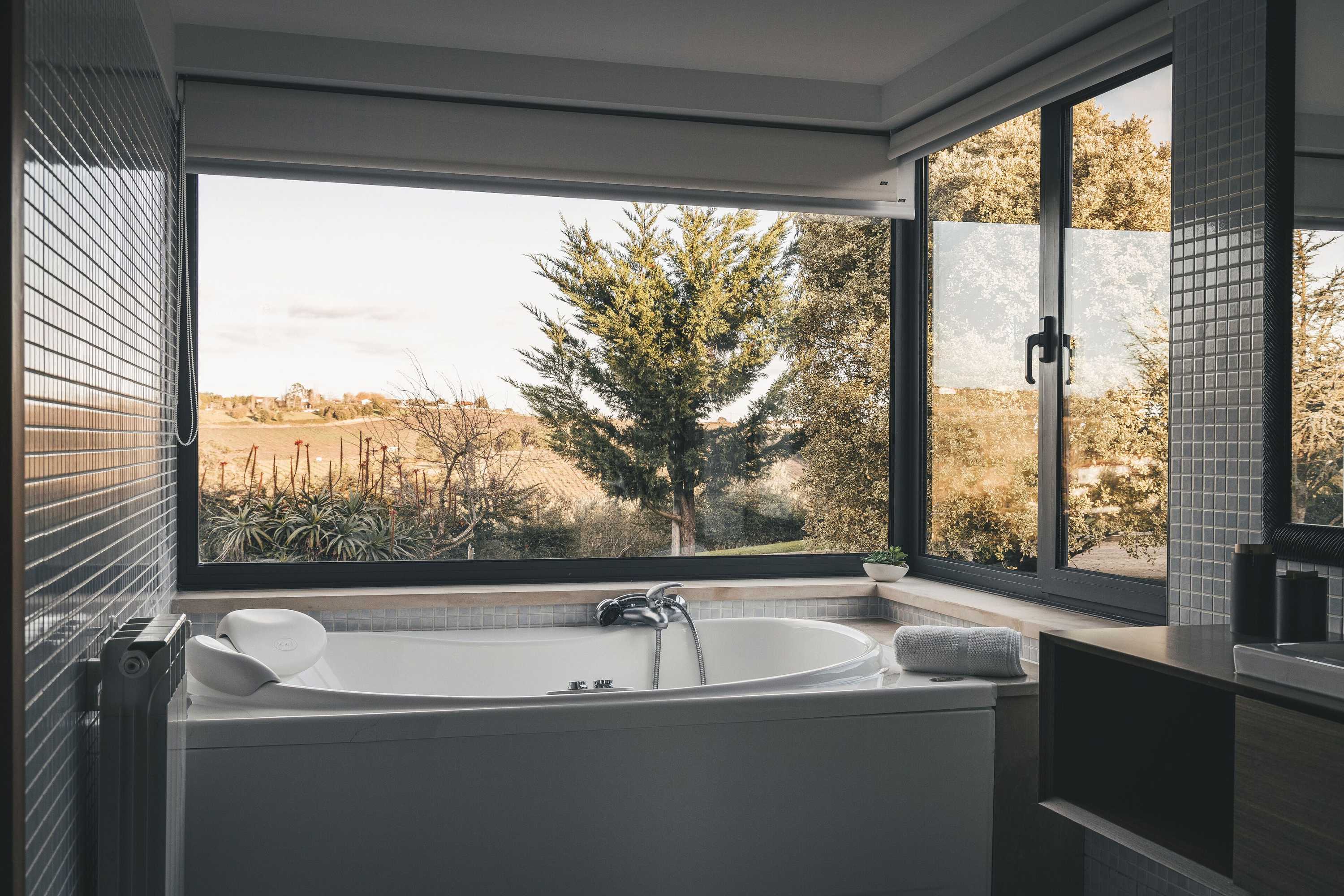 Gift card for Vale Pisco