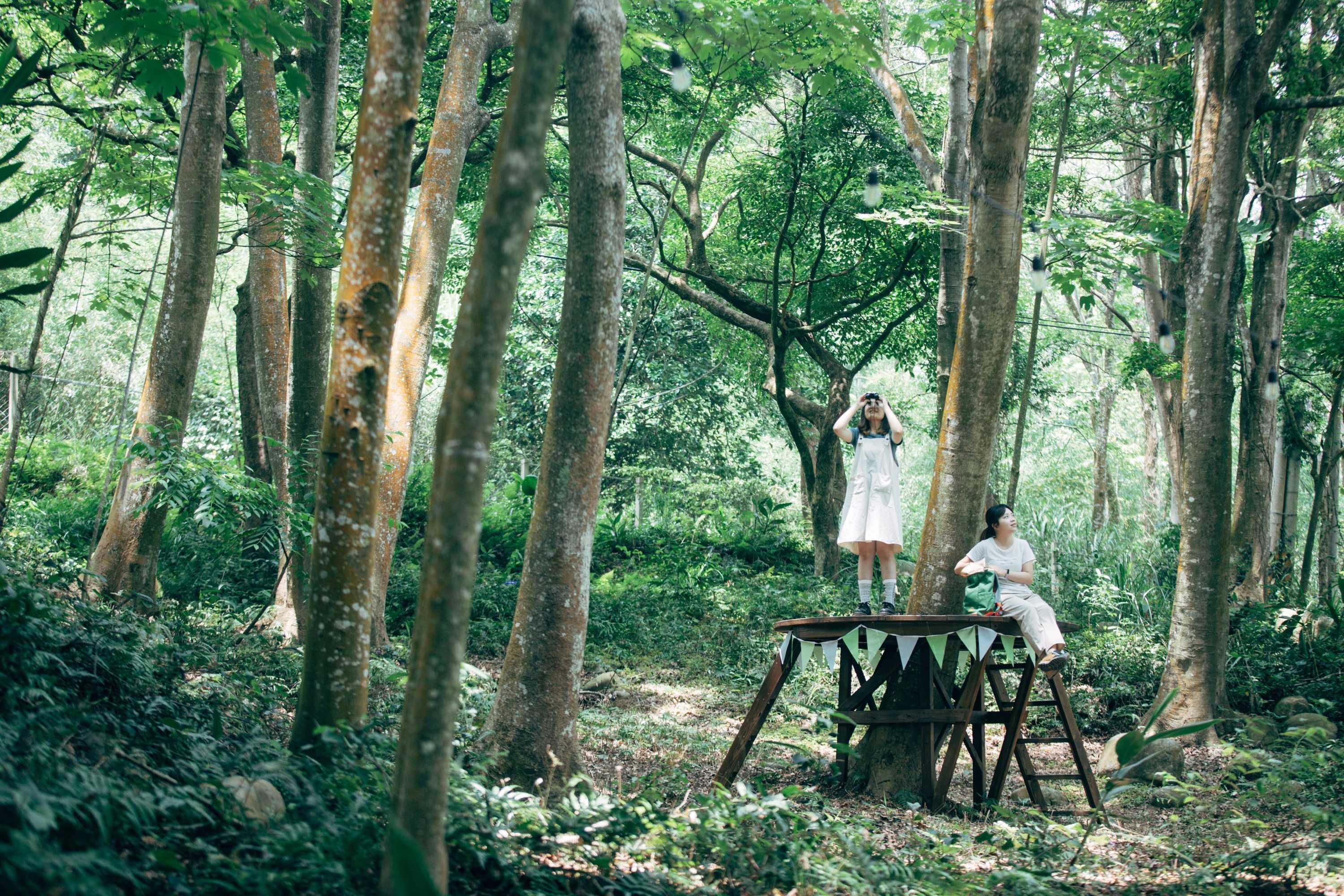 Gift card for Lvbolang by Reindeer, Sanyi