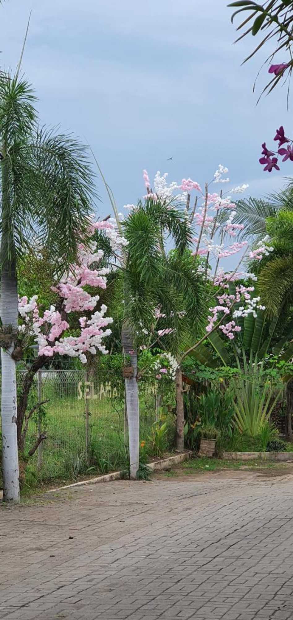 Gift card for Cerah Hotel