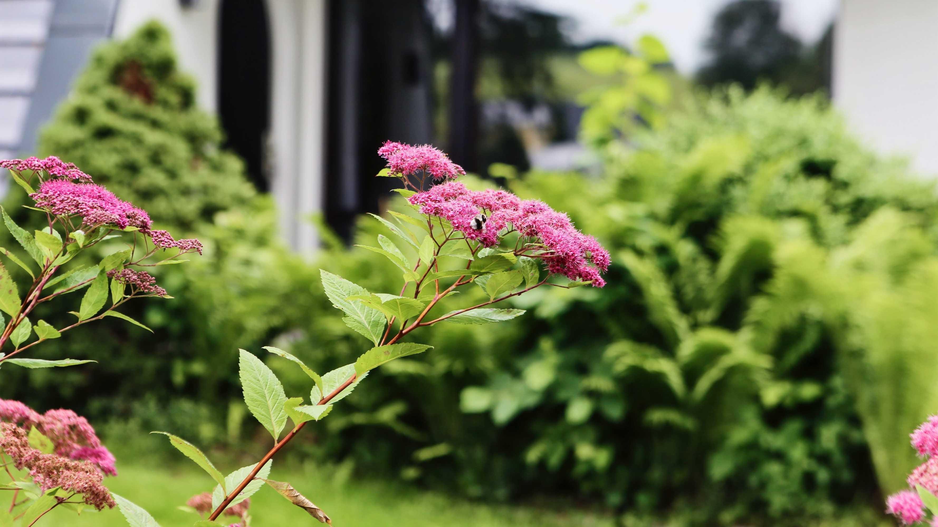 Gift card for Ferienhaus Drebach